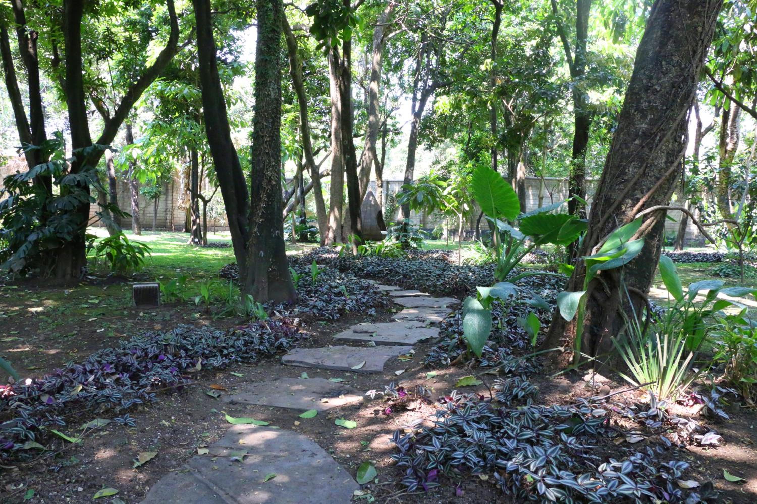 Photo 8
