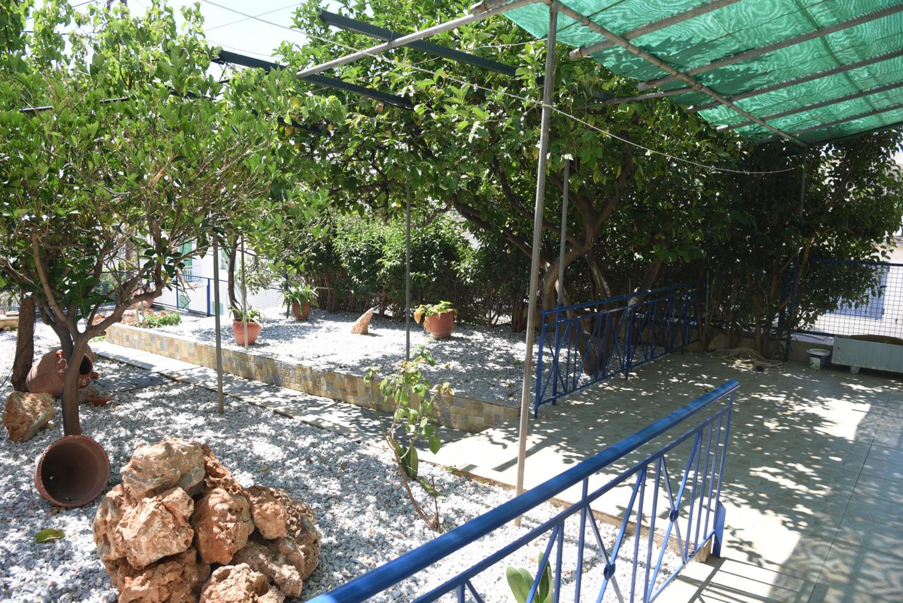 Photo 15