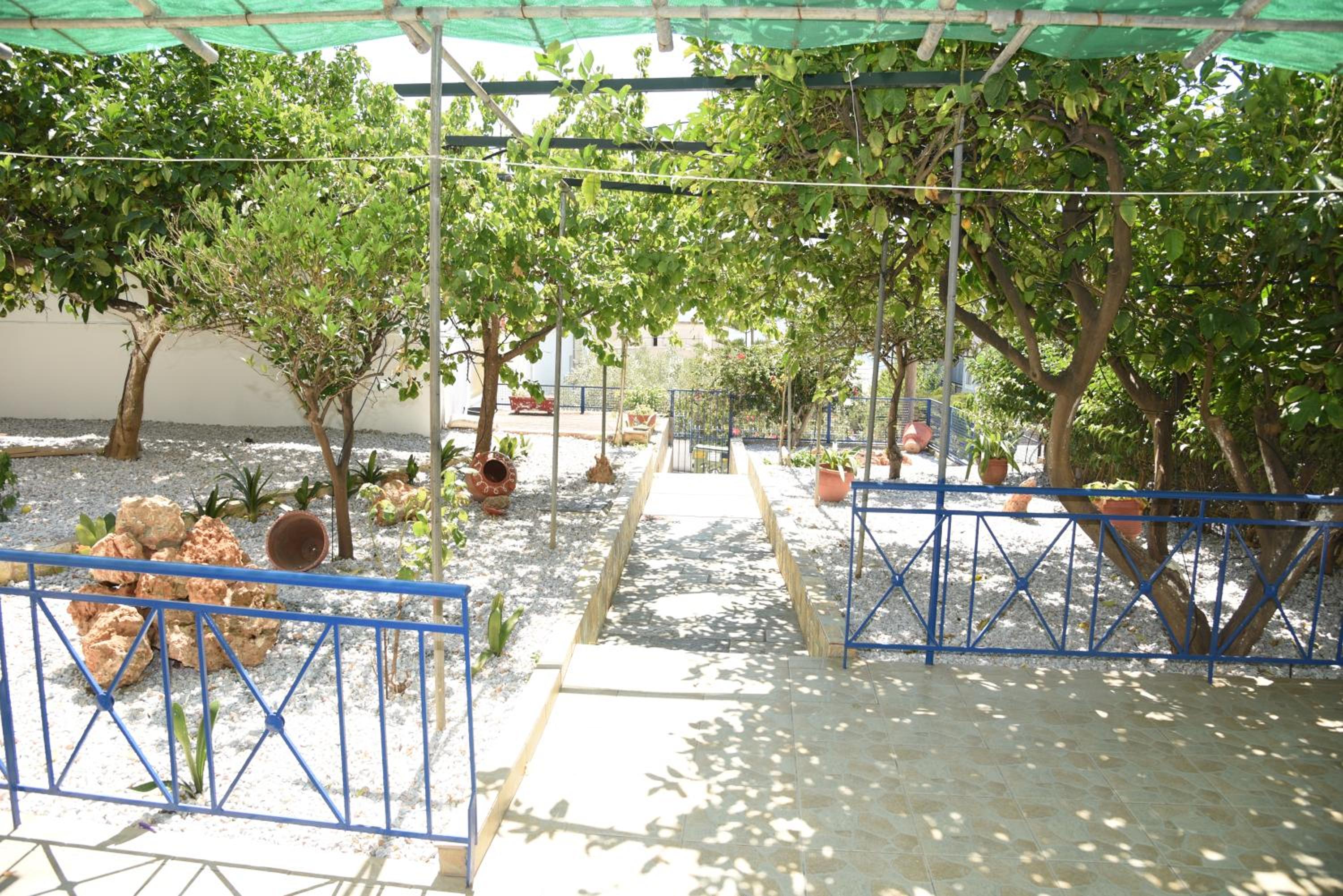 Photo 17