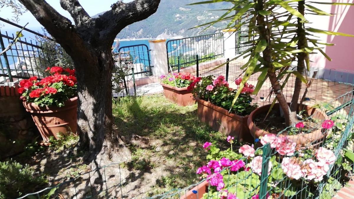 Sussurro del mare