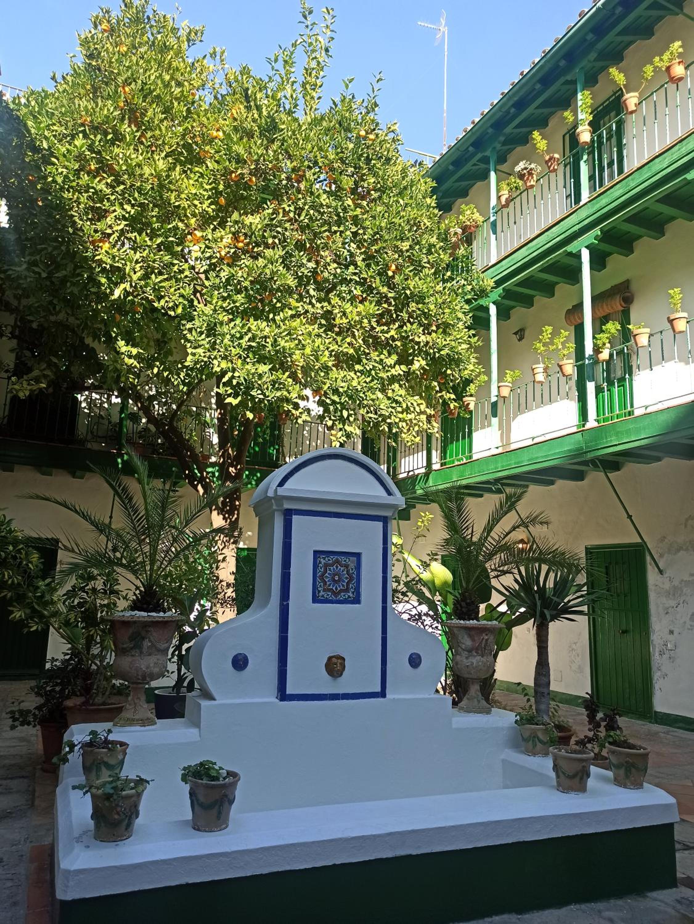 Alcázares Sevilla centro