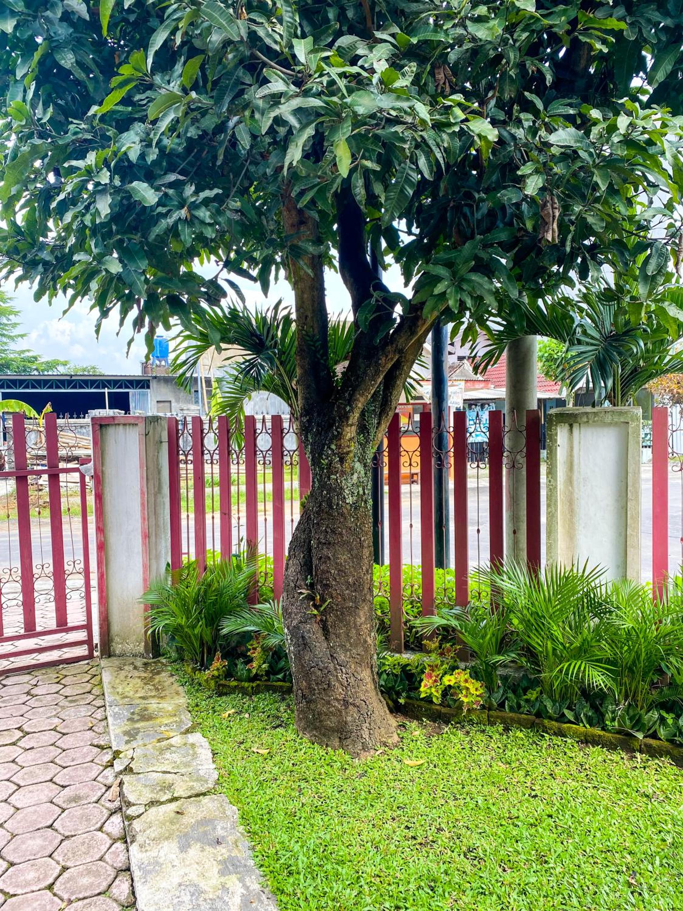 Photo 15