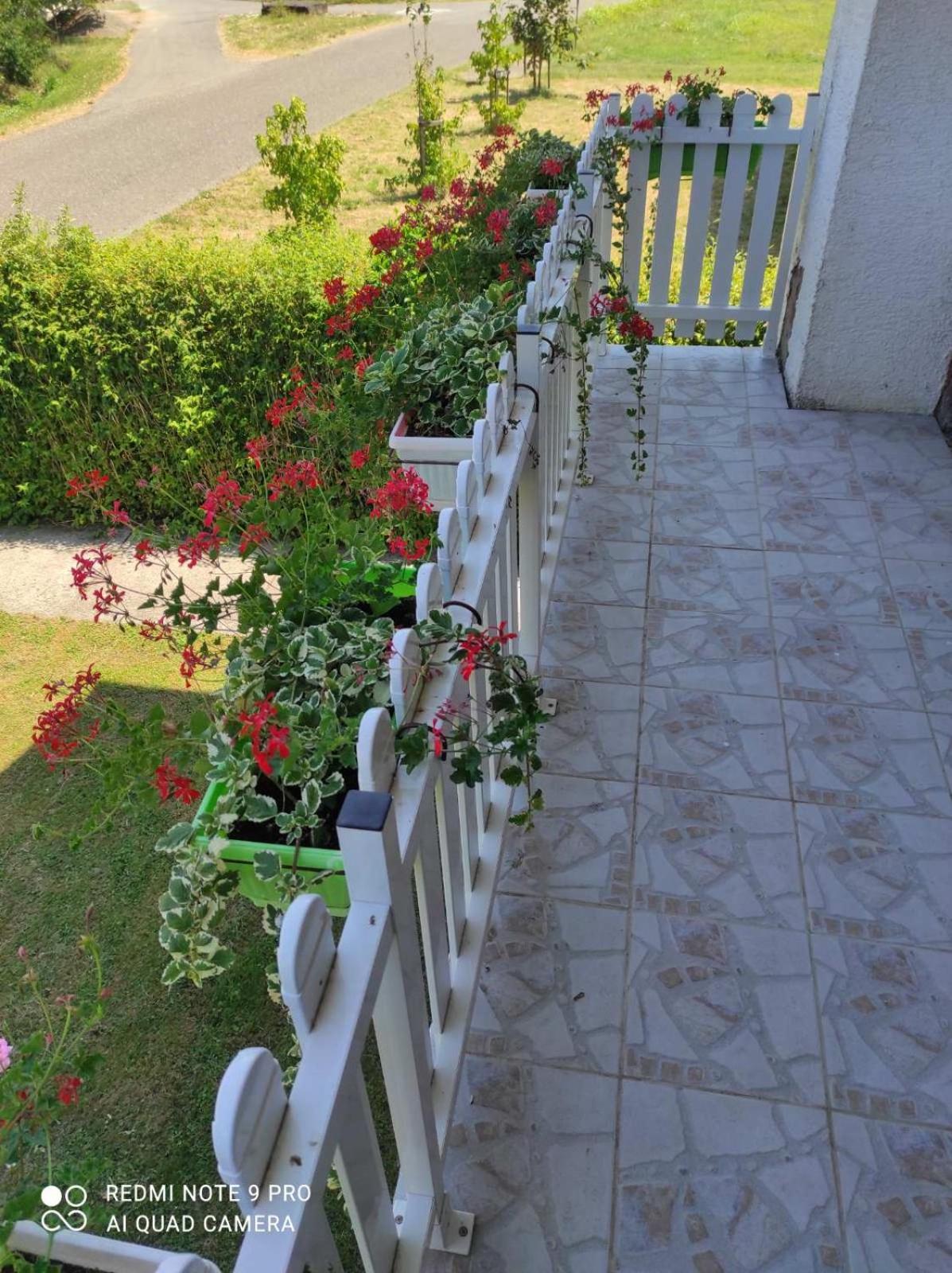 Home of nature - Kuća prirode