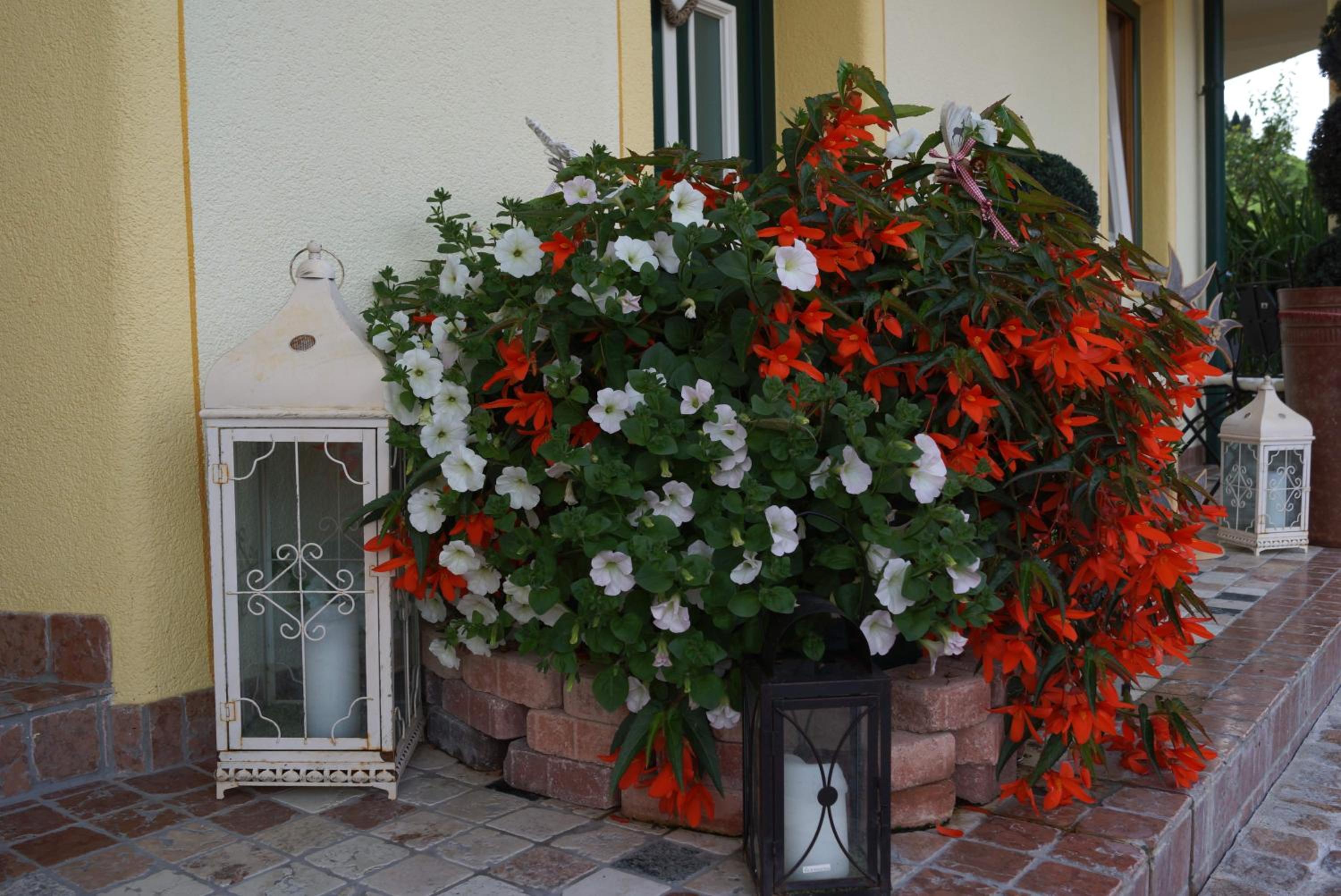 Photo 44