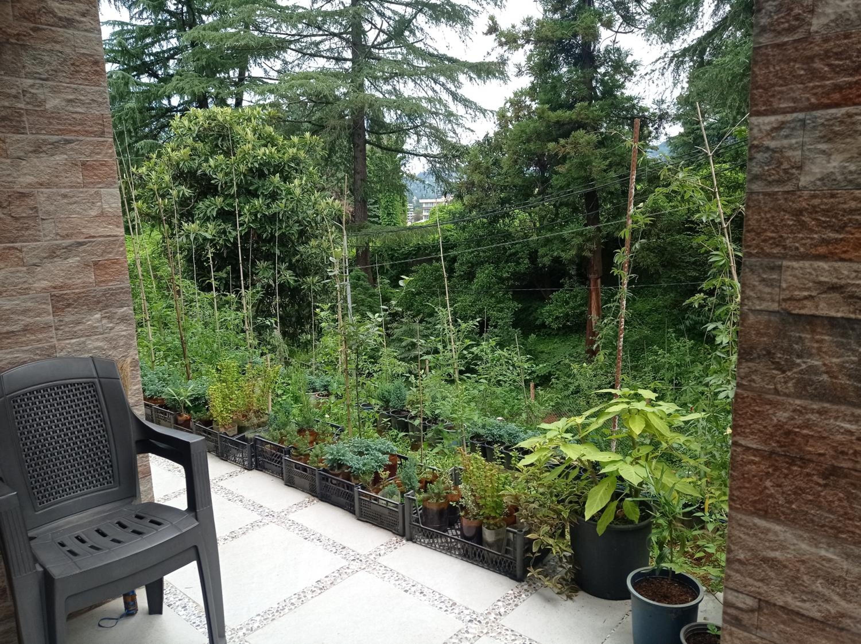 Georgy's Holiday House view 3