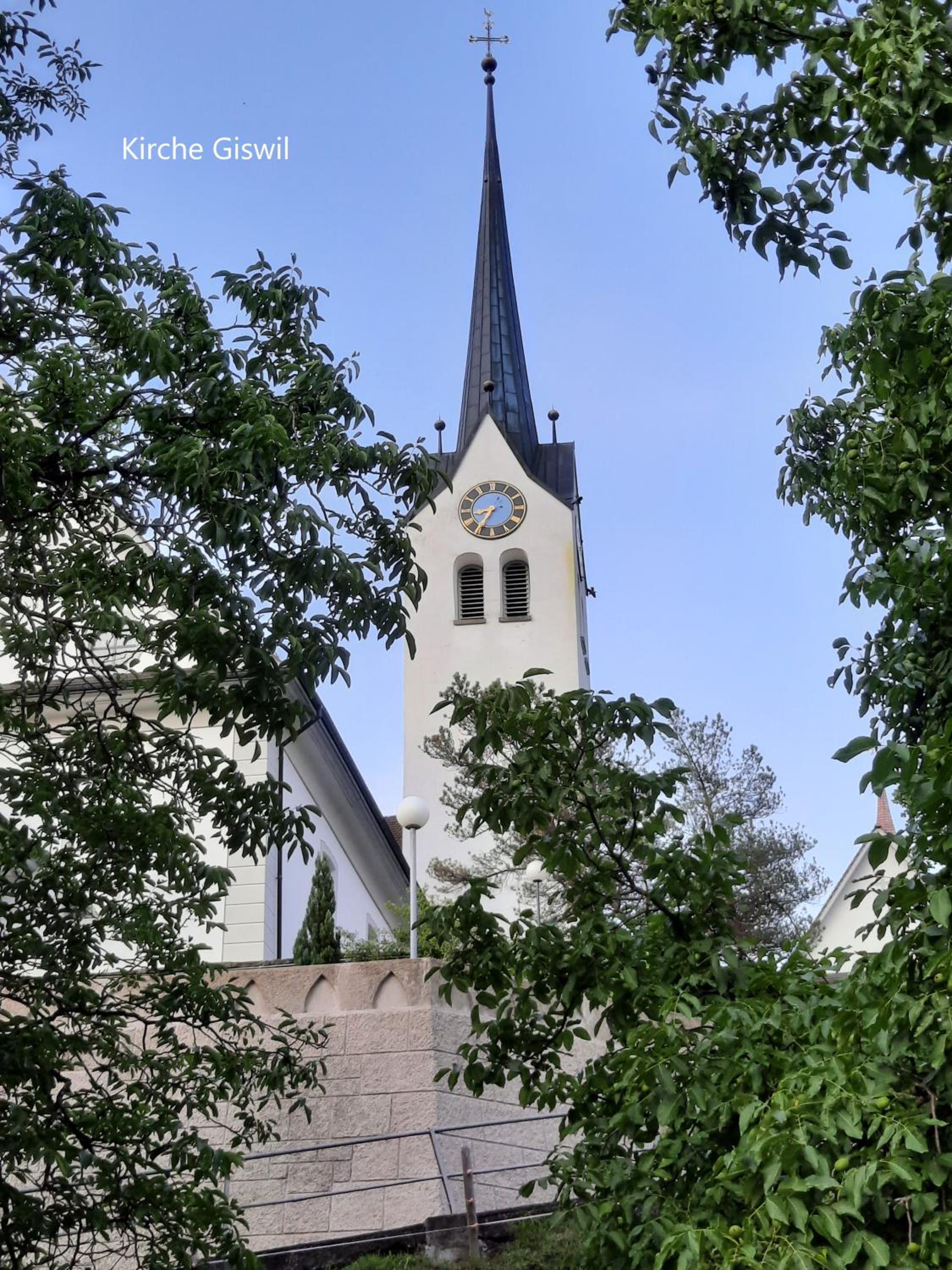 Haus Nussbaumweg 6