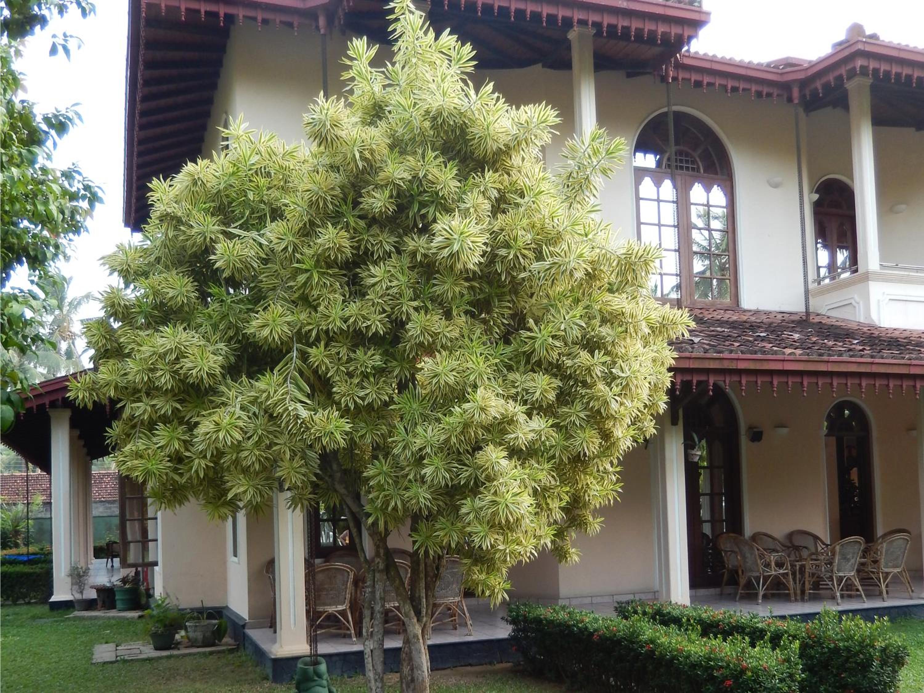 Villa Ranmenika