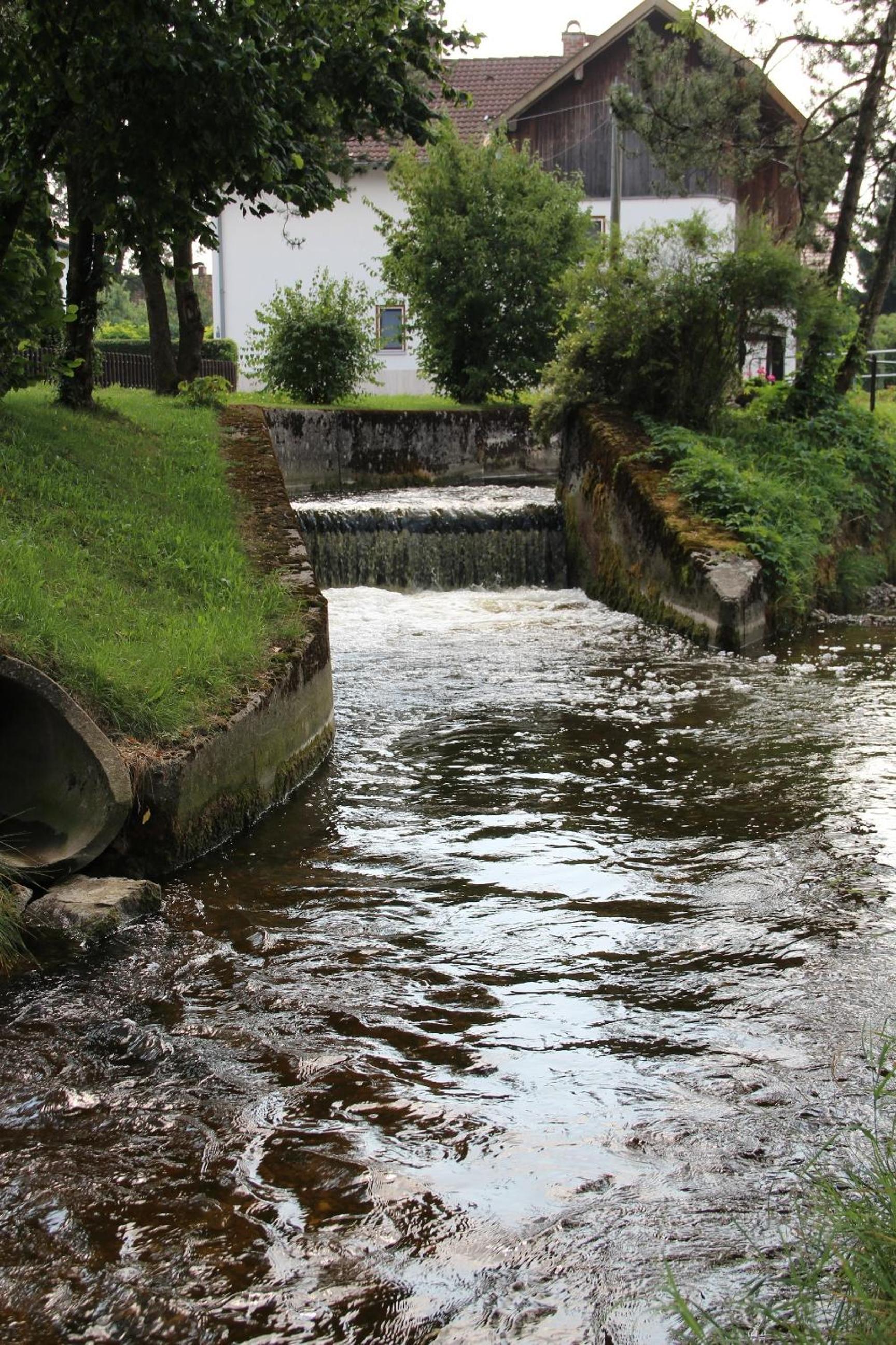 Photo 20