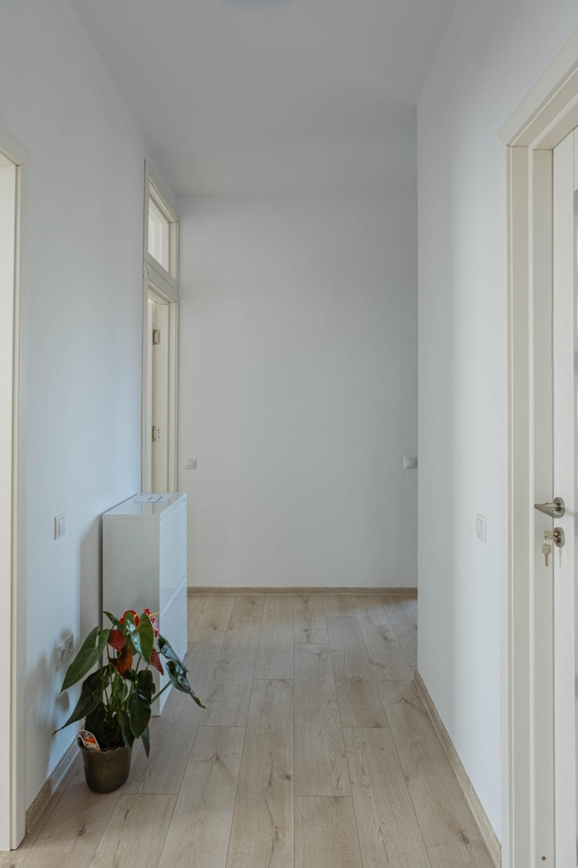 Solomon Apartments Ap 4 view 4