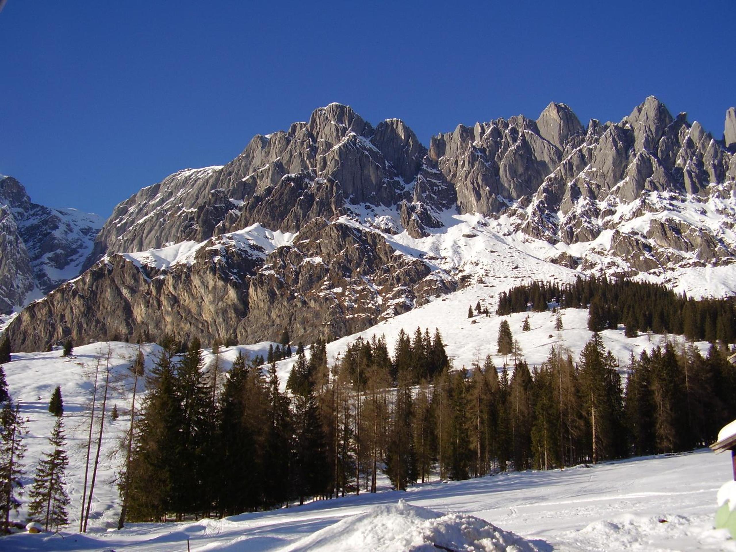 Appartementhaus Hochkönig 1 - Alpenrose