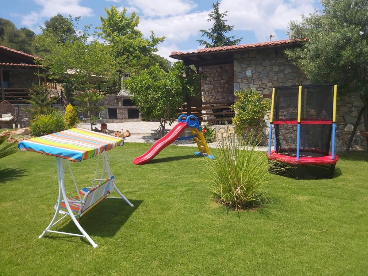 Photo 15