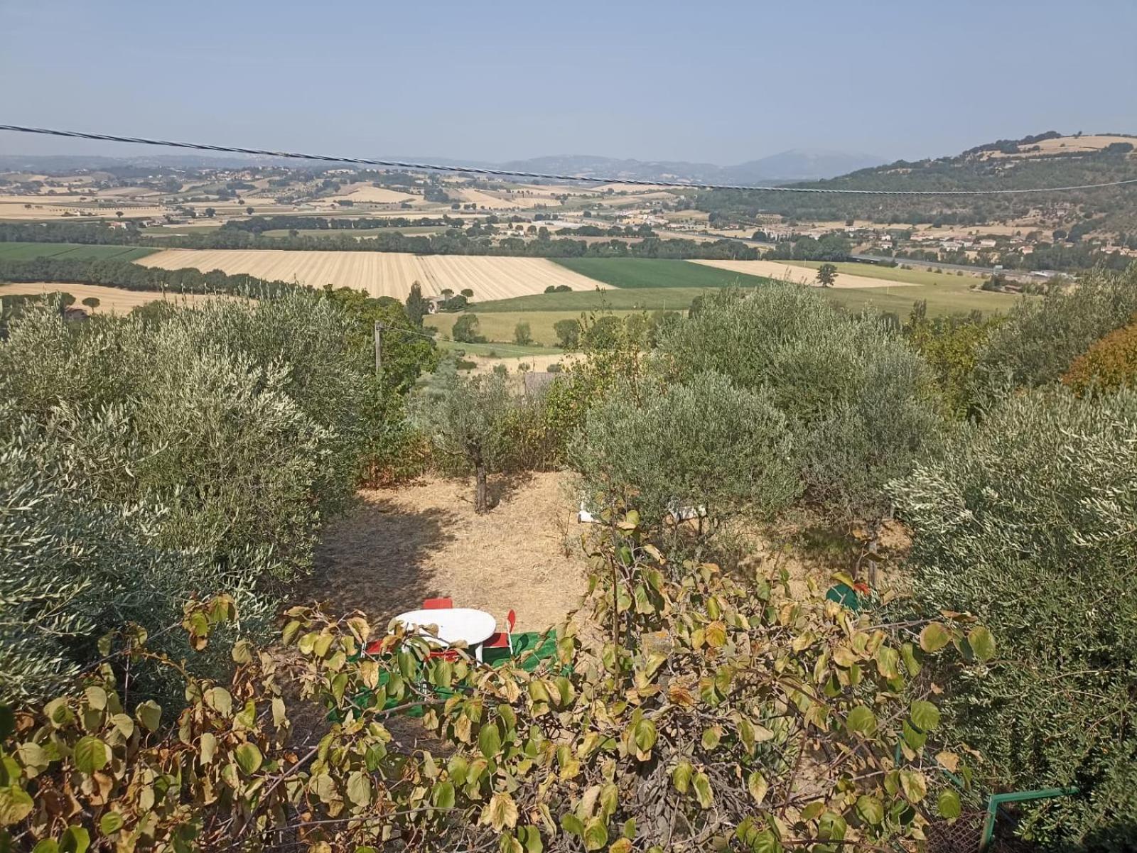 Panoramico tra Assisi e Perugia ideale per un single o per una coppia view 4