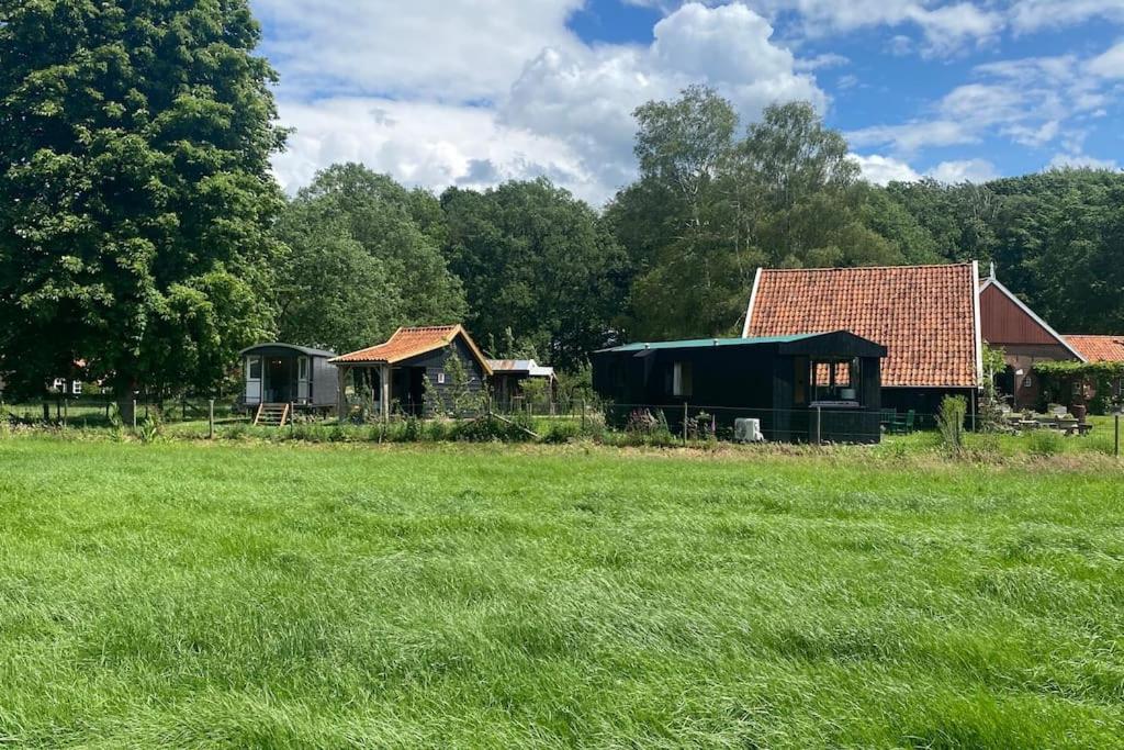 Tiny house, pipowagen onder de kastanje