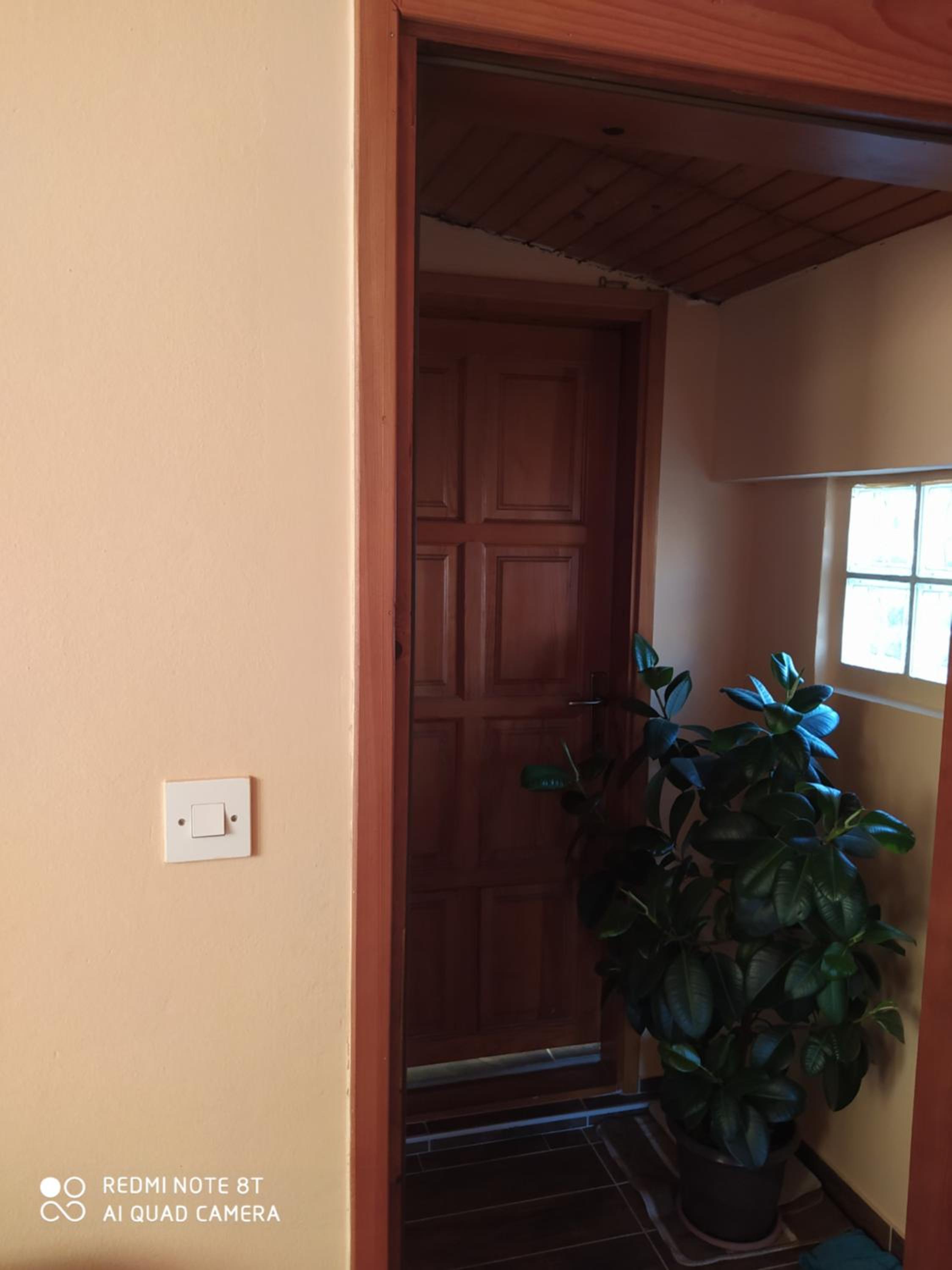 Apartman Mickey