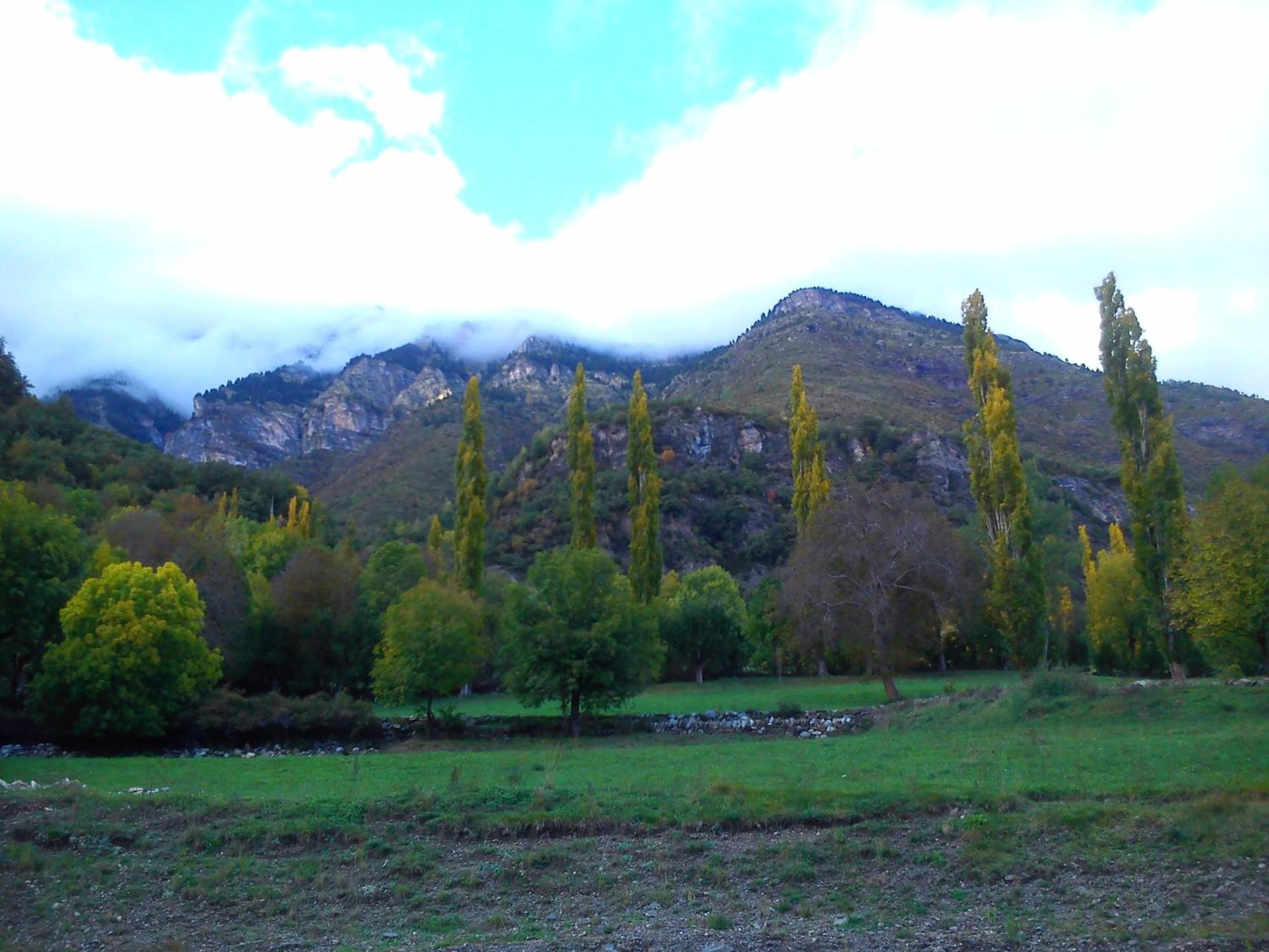 Photo 25