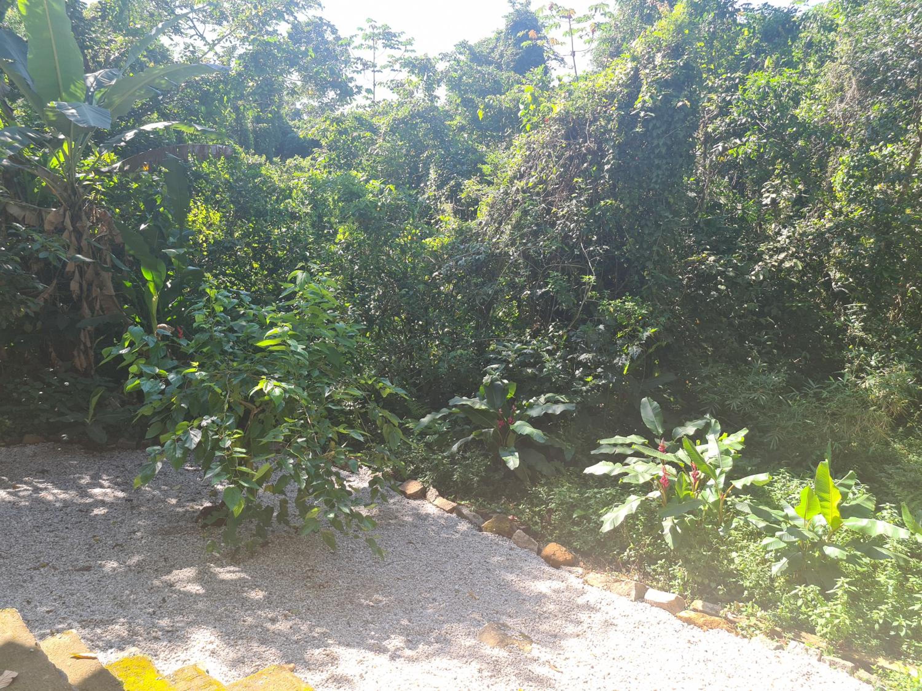 Casa na praia do Felix na cidade de Ubatuba