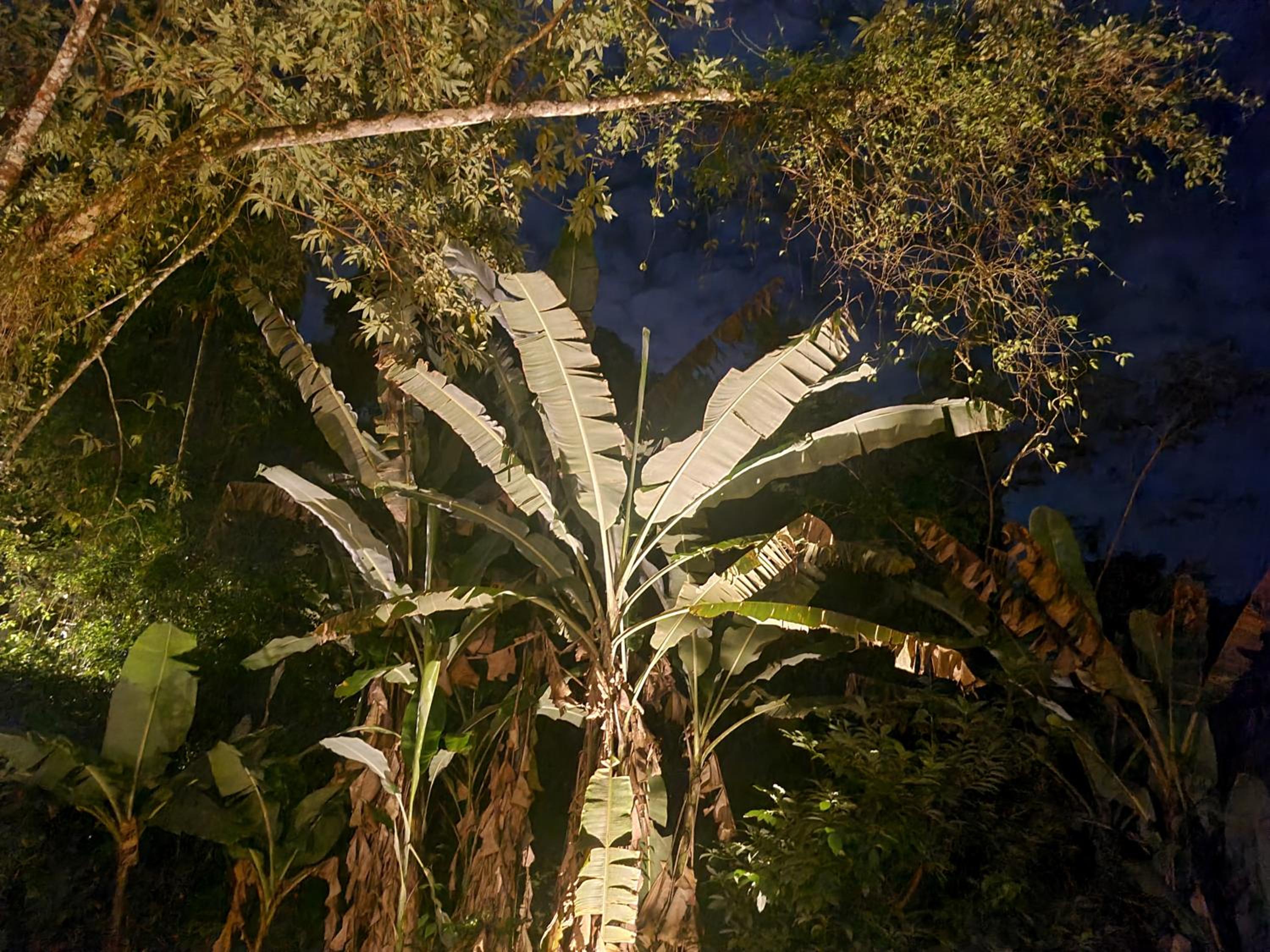 Casa na praia do Felix na cidade de Ubatuba