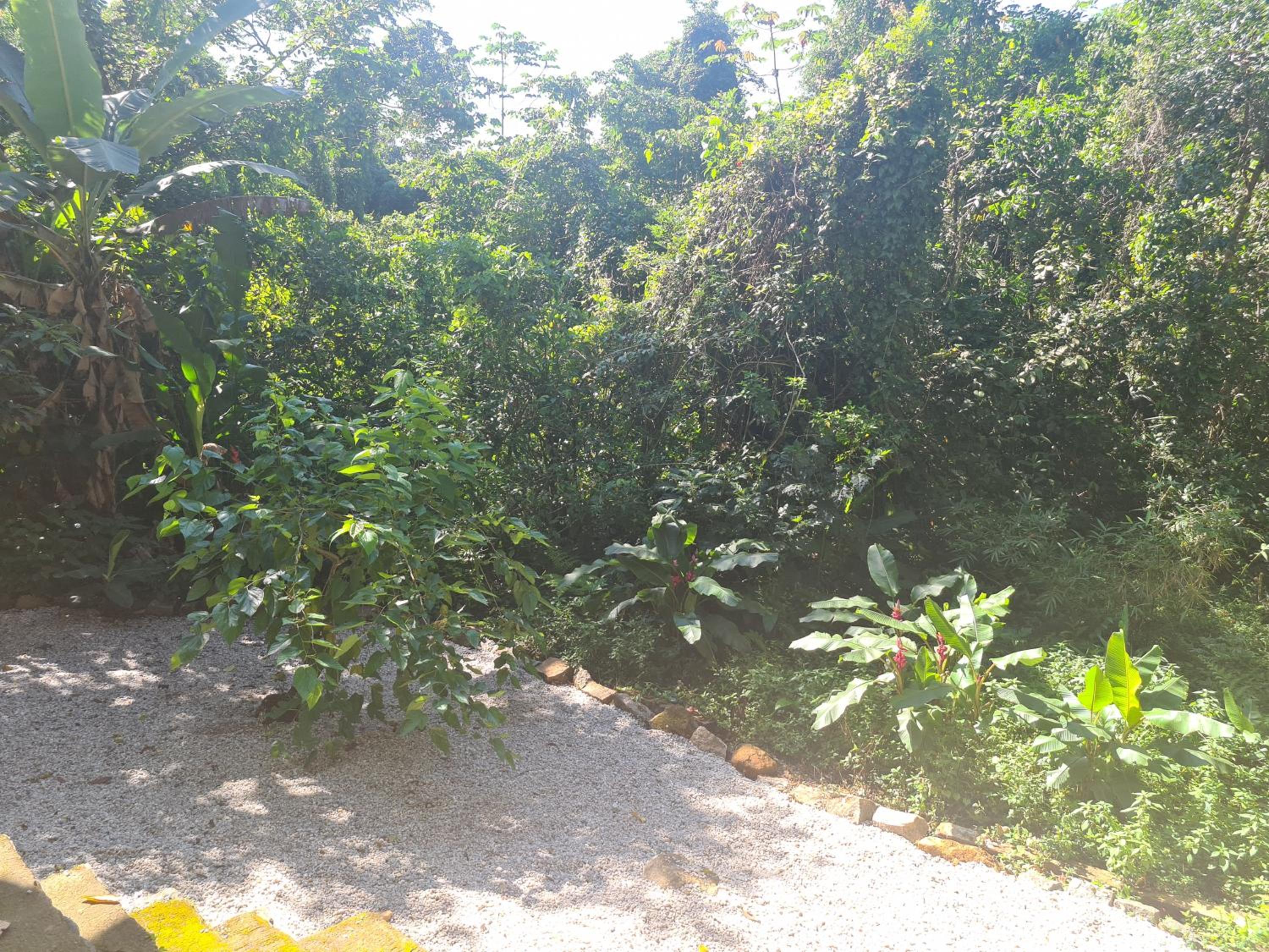 Casa na praia do Felix na cidade de Ubatuba