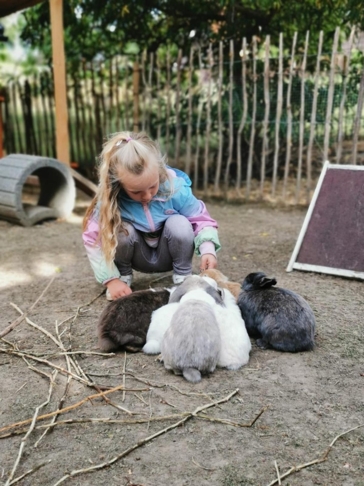 Ferienwohnung Nähe Dresden mit Pool & Spielplatz - FeWo 