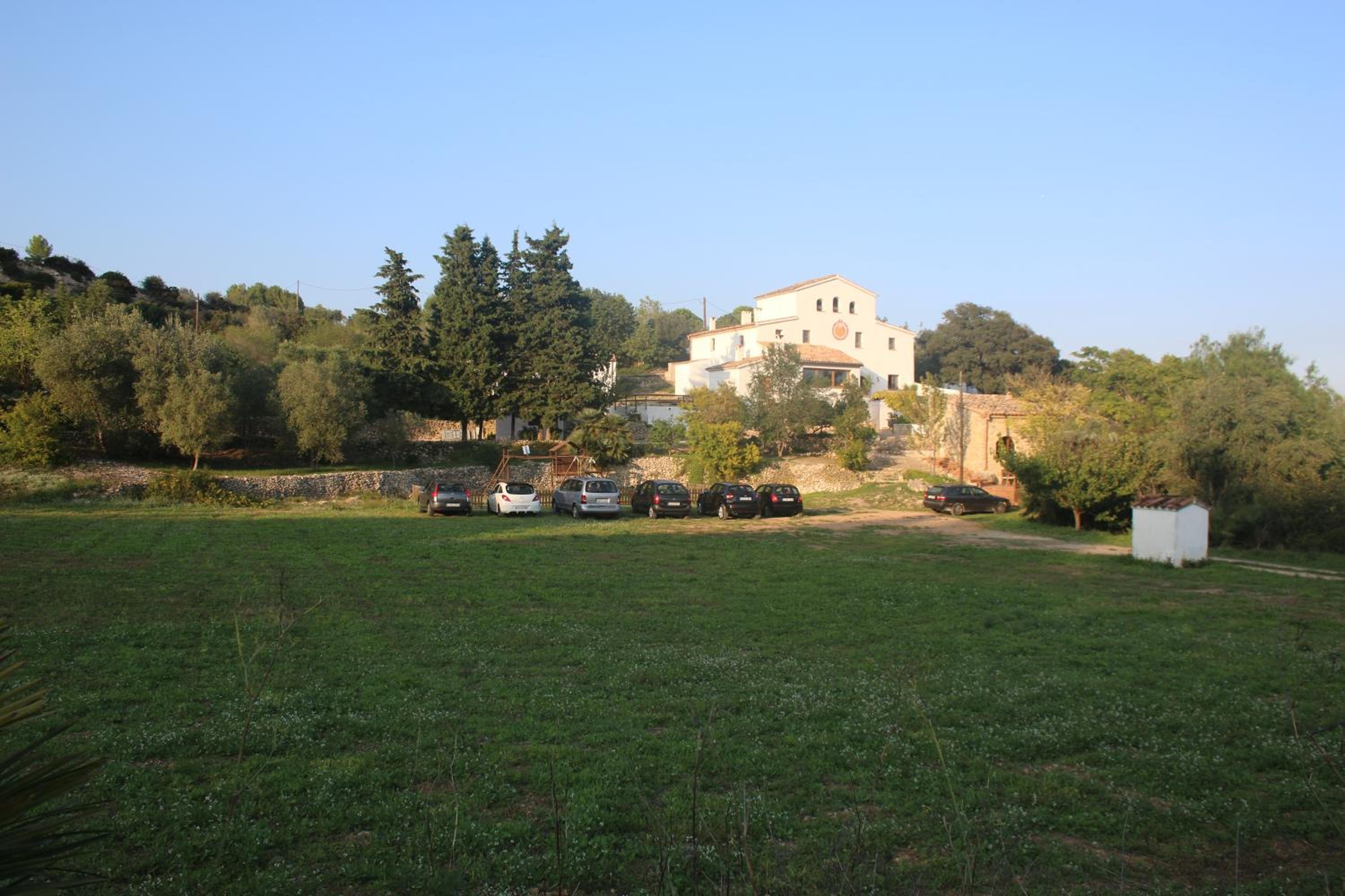 Photo 11