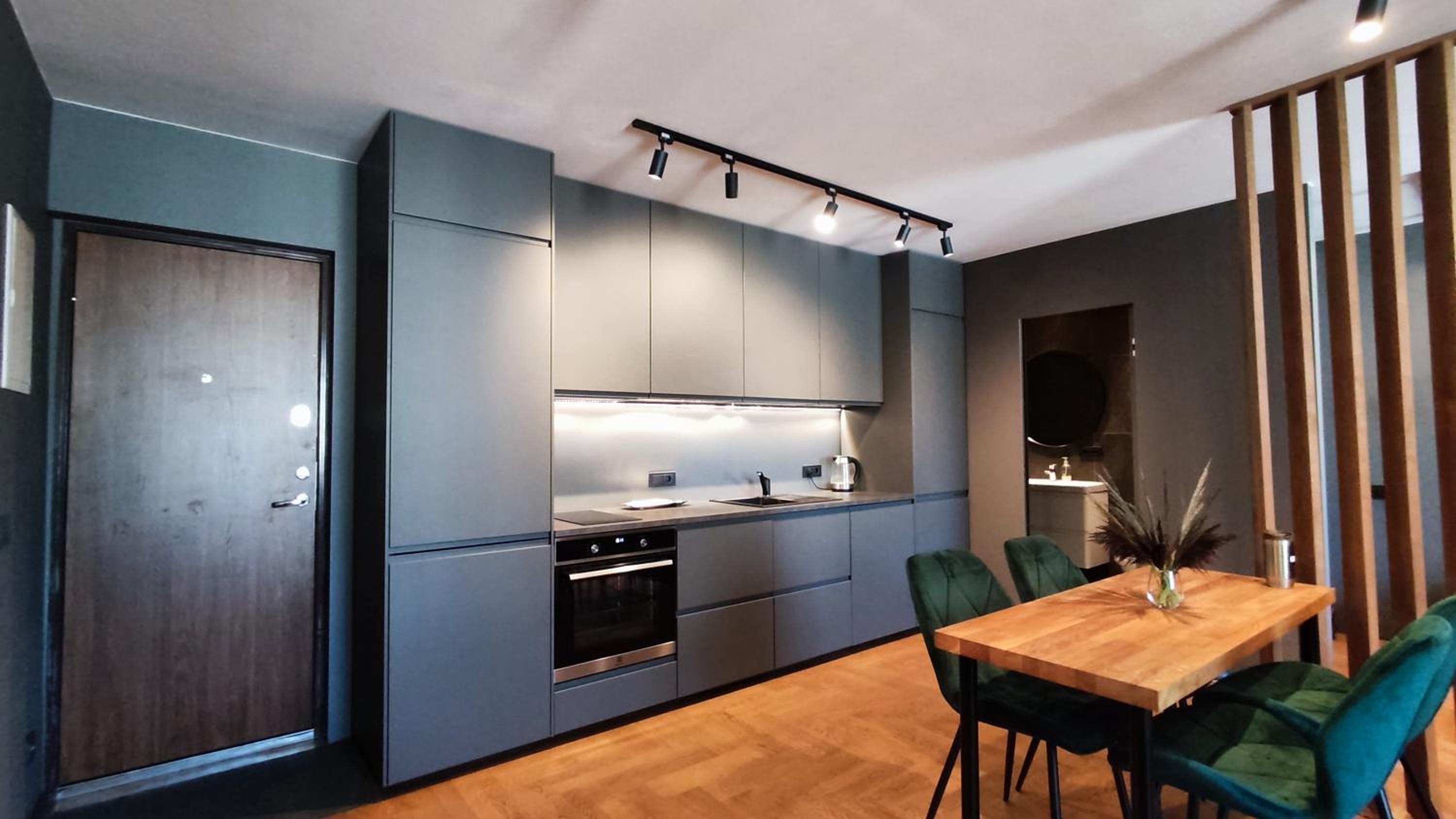 Dabintos Apartament Druskininkai view 5