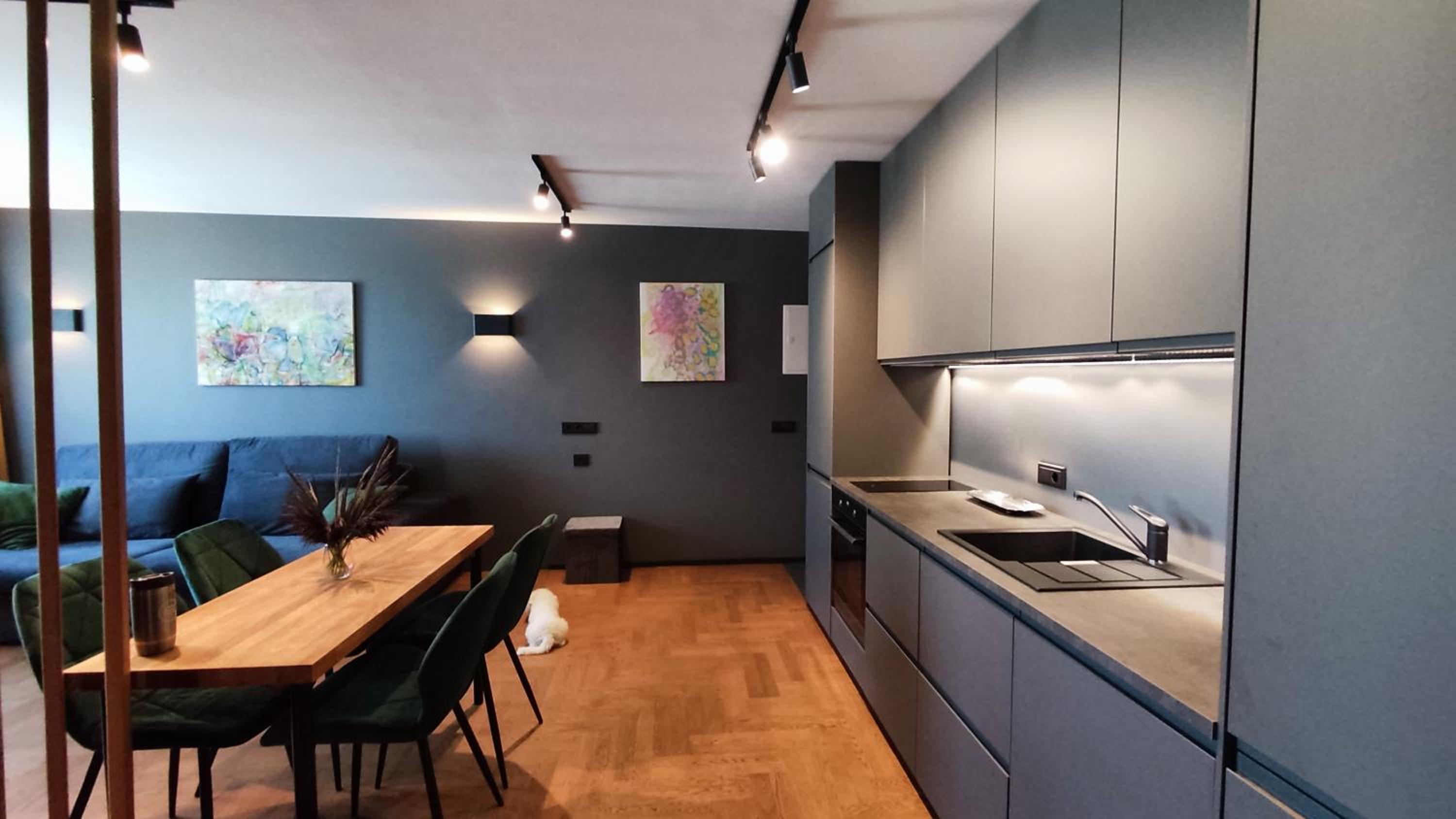 Dabintos Apartament Druskininkai view 4