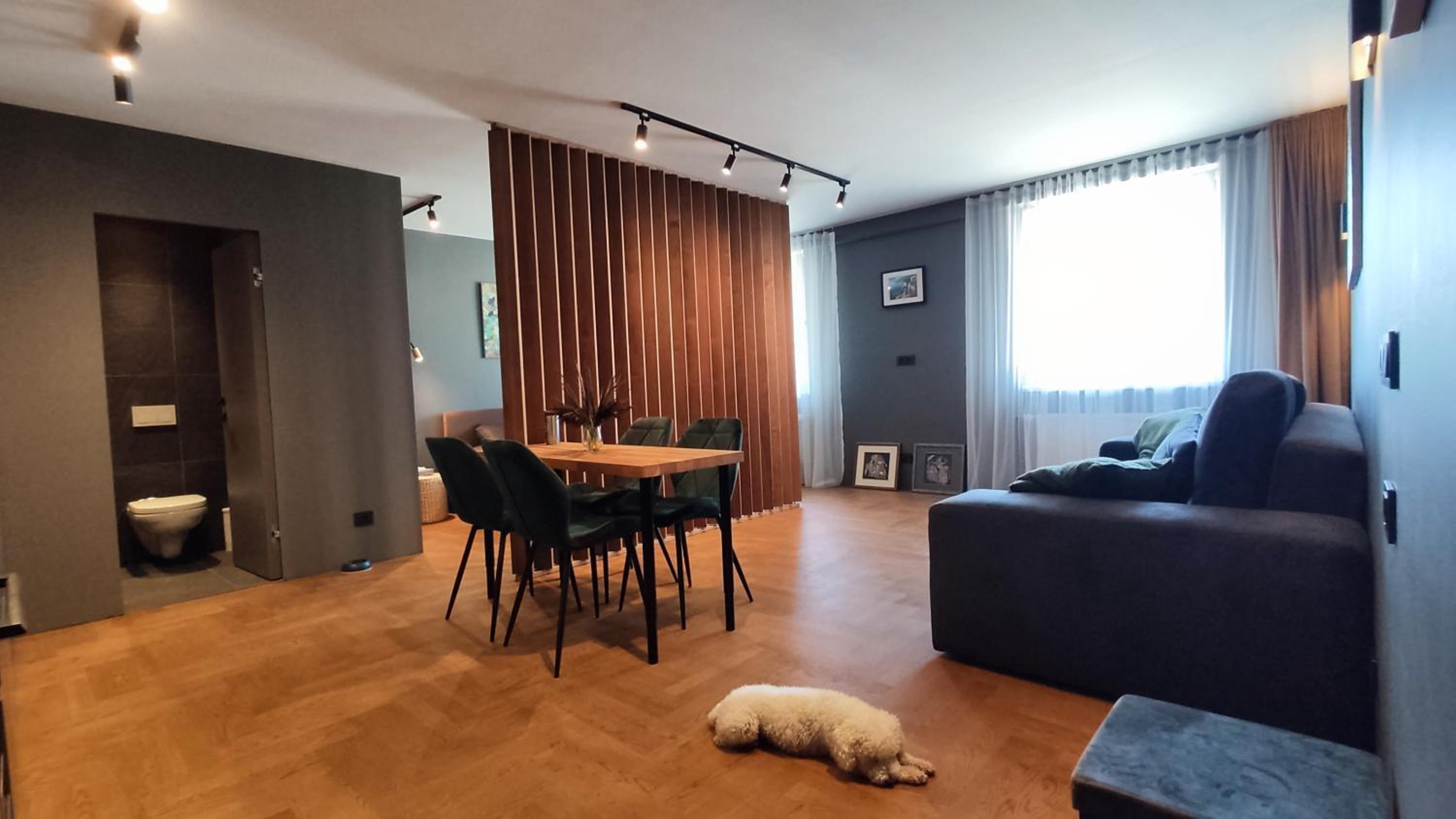 Dabintos Apartament Druskininkai view 3
