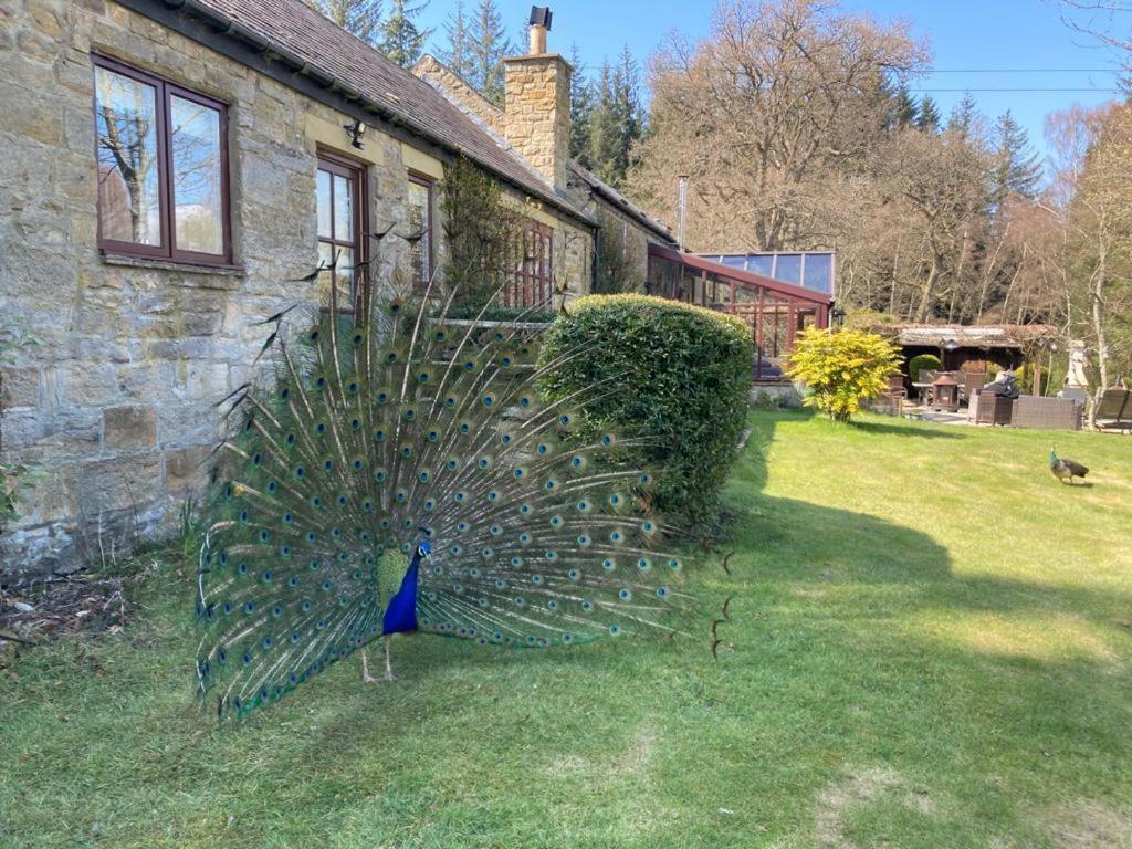 Lakewood Courtyard Northumberland