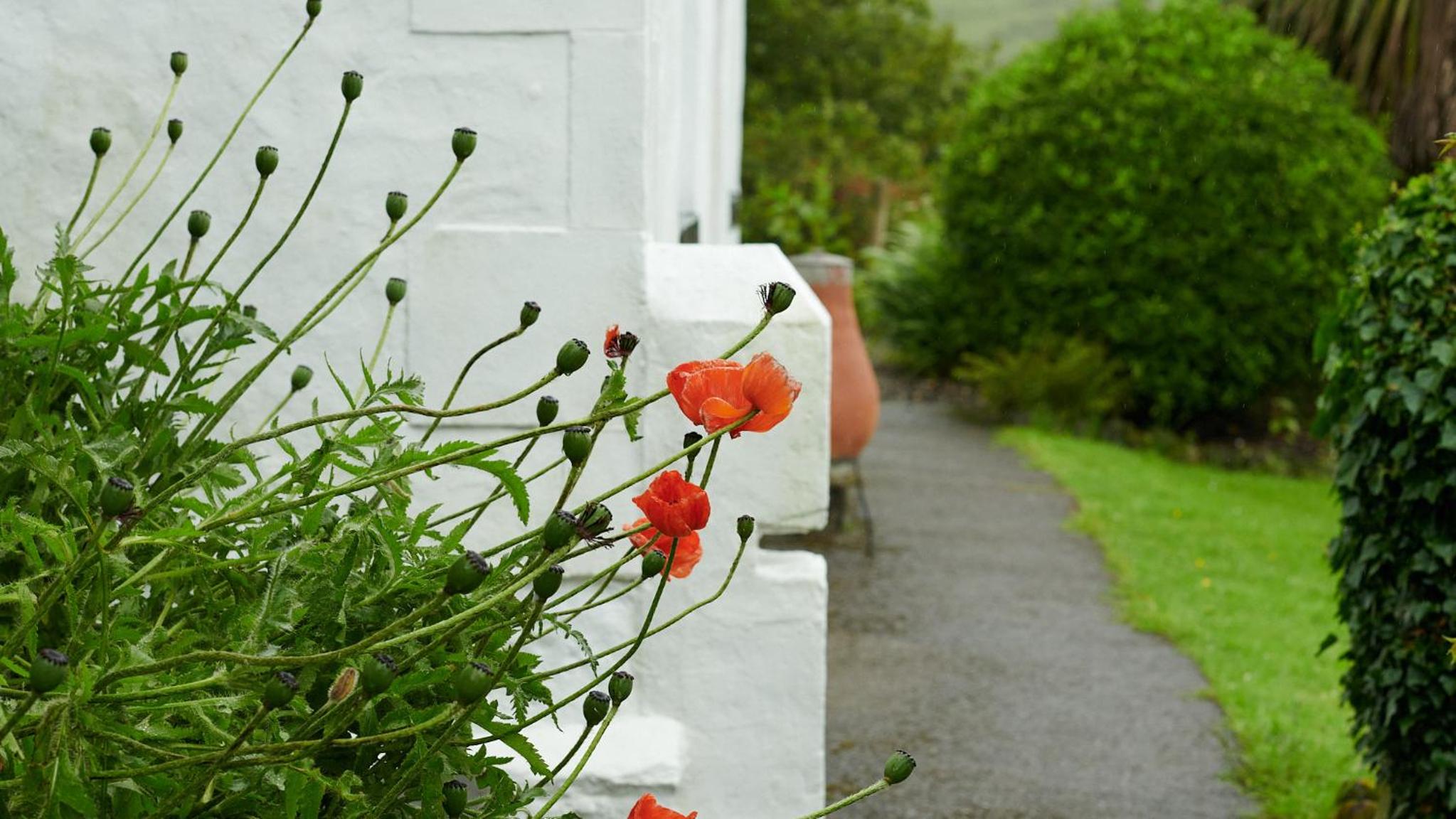 Hawthorn Cottage