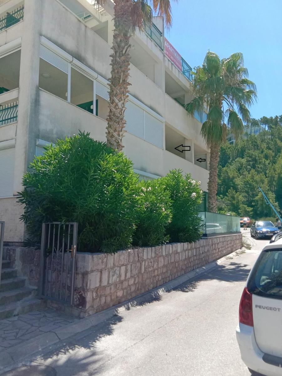 Apartments MIMOZA photo 2