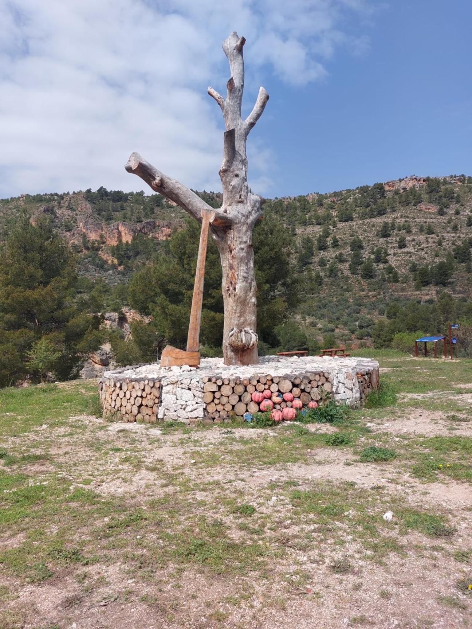Photo 21