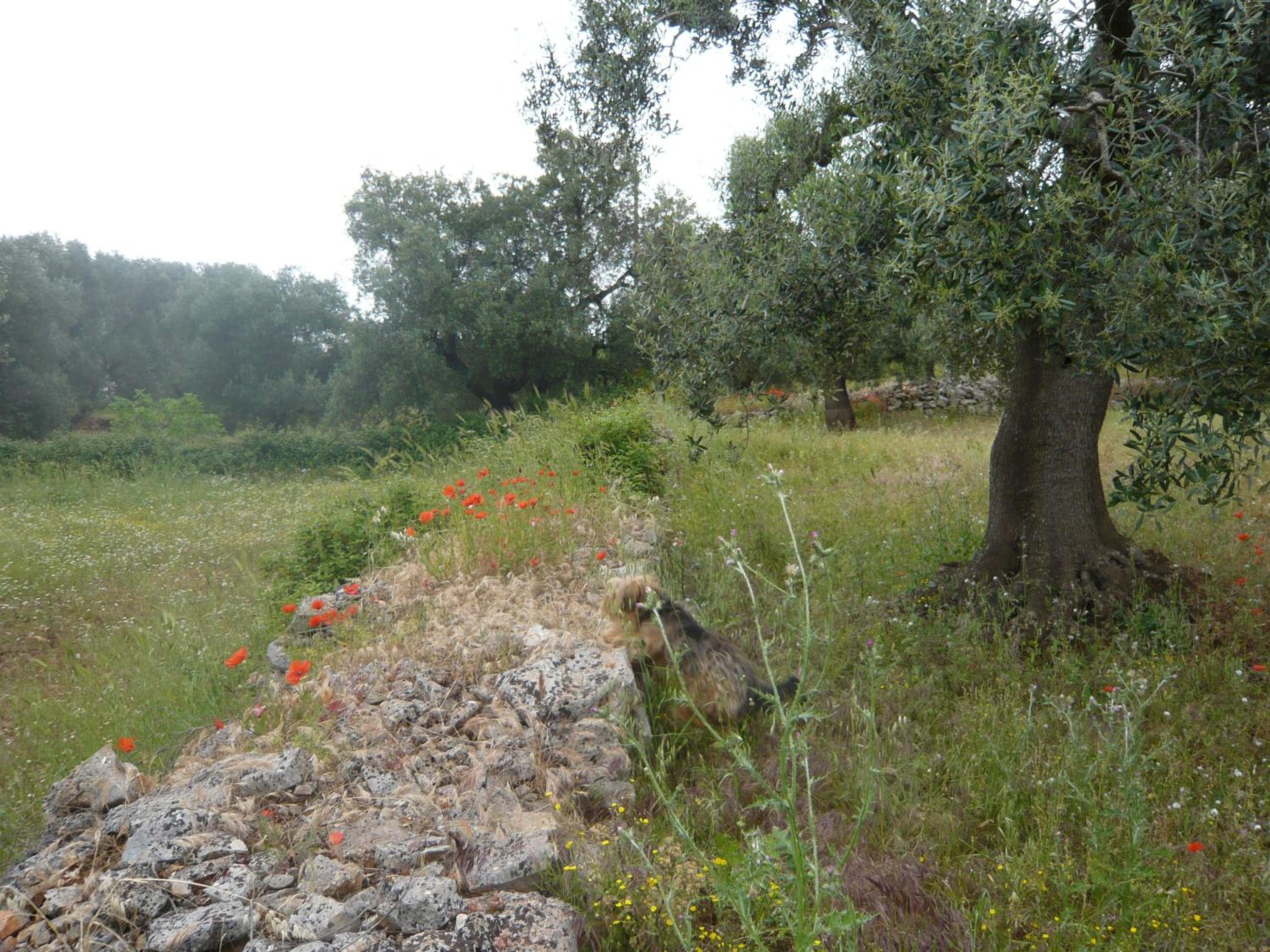 Photo 22