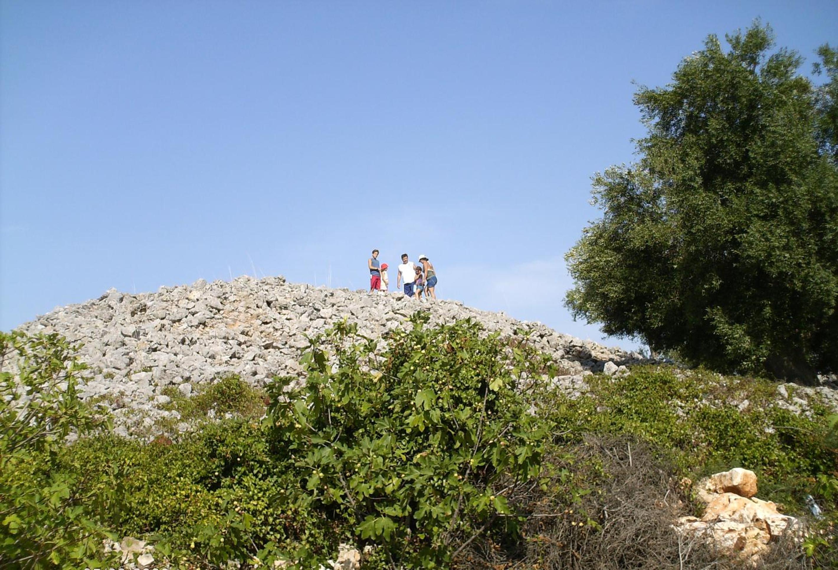 Photo 23
