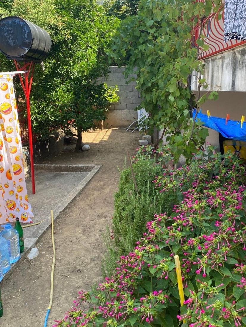 Sun-Love view 2