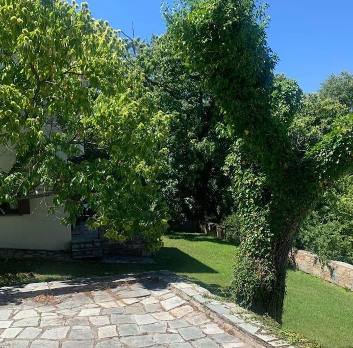 The Forest Sea View House - Xourichti-Tsagkarada Pilio view 5