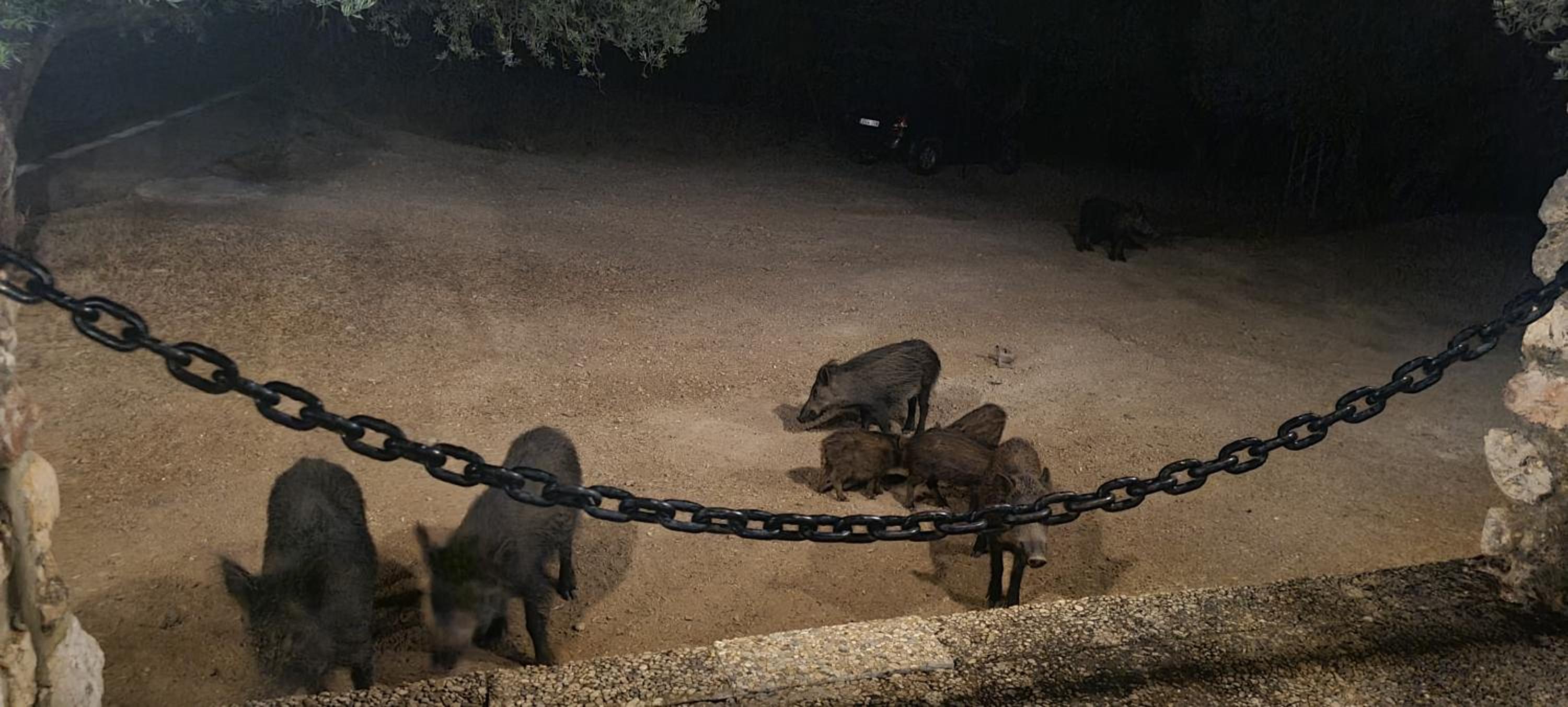 Alojamiento Turístico El Pantano de Cazorla