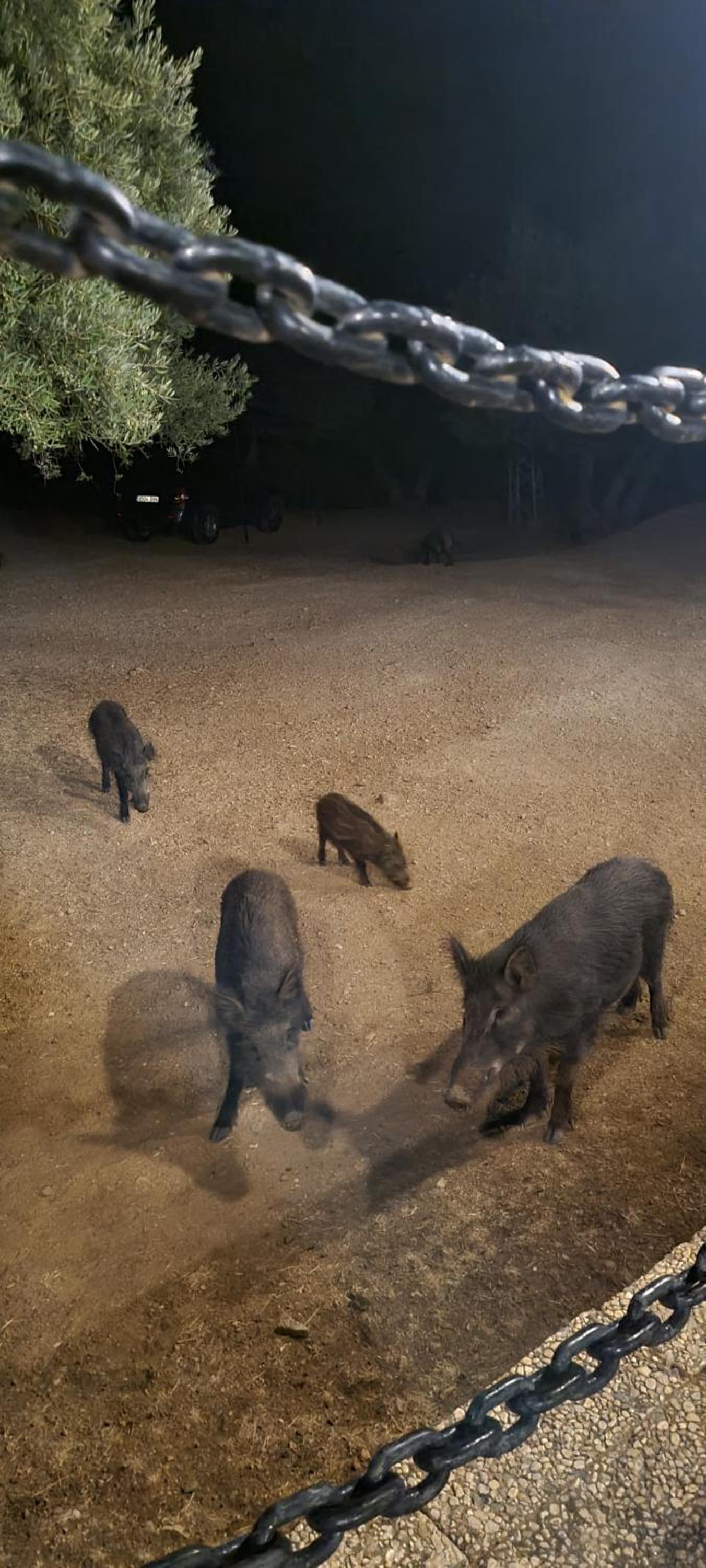 Alojamiento Turístico El Pantano de Cazorla