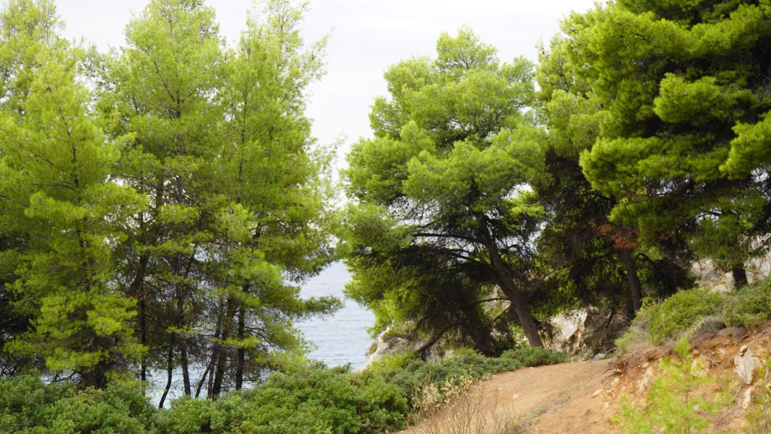 Halkidiki Kassandra villa 3P Exclusive Peace & Beautiful Sea Views