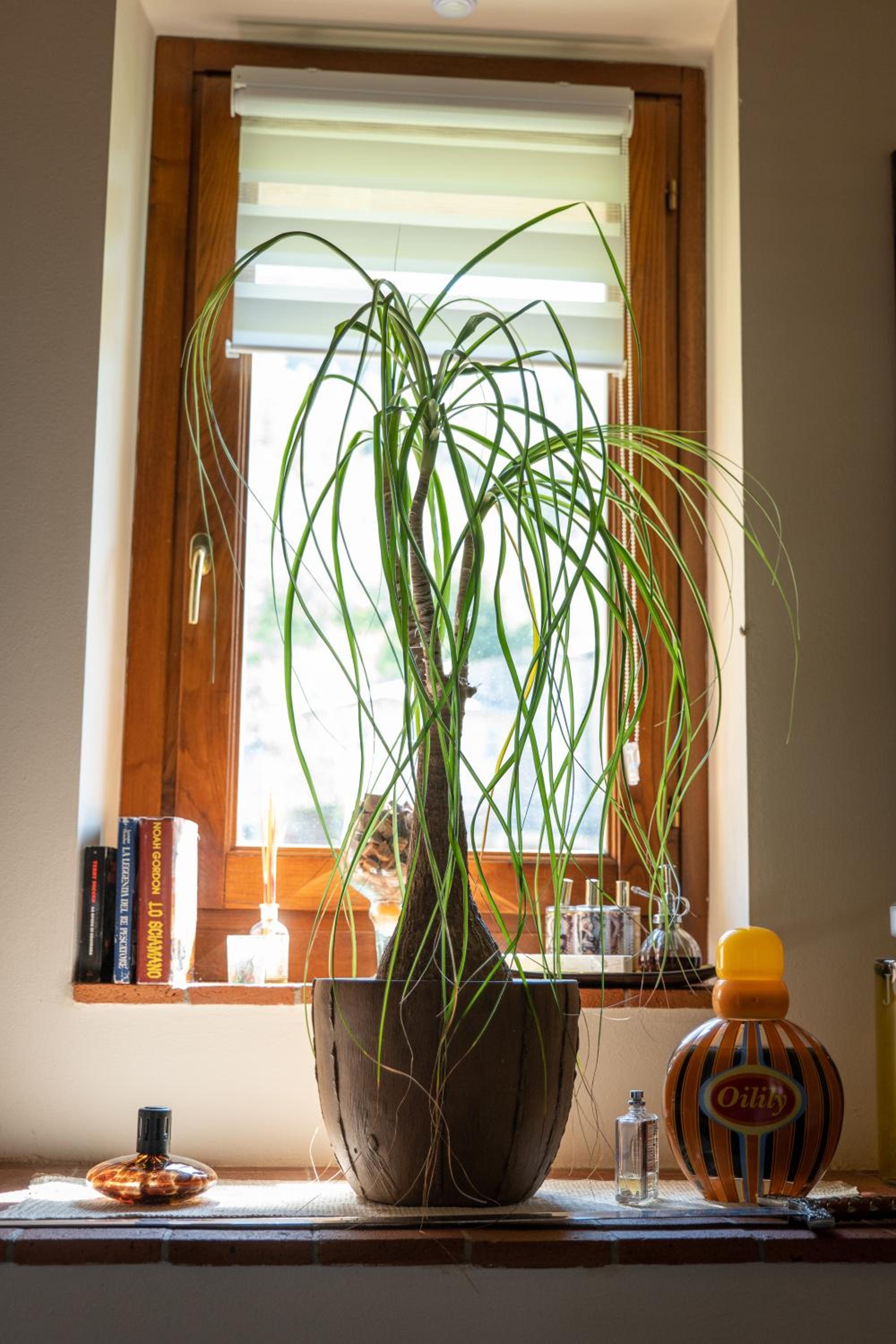 Cathedral-luxury-stay sauna & massage photo 4