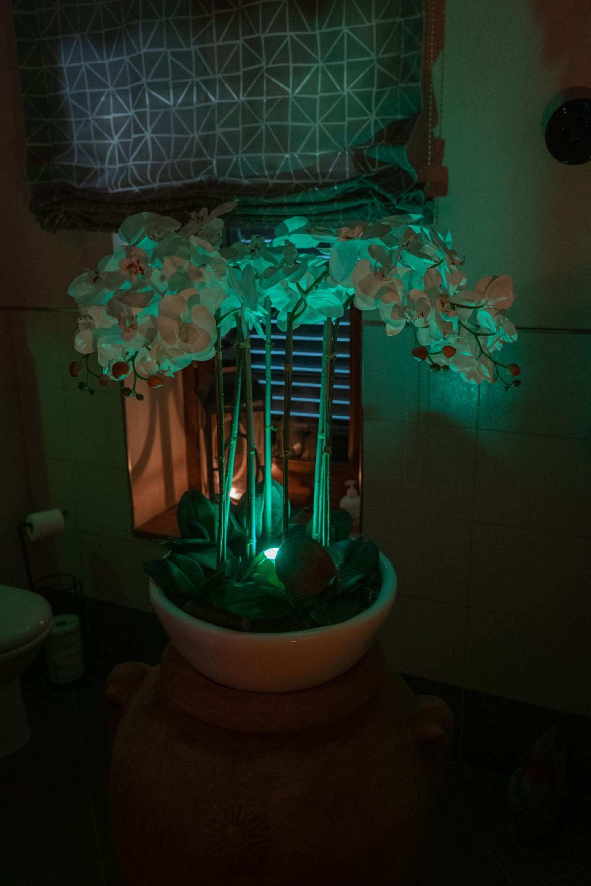Cathedral-luxury-stay sauna & massage