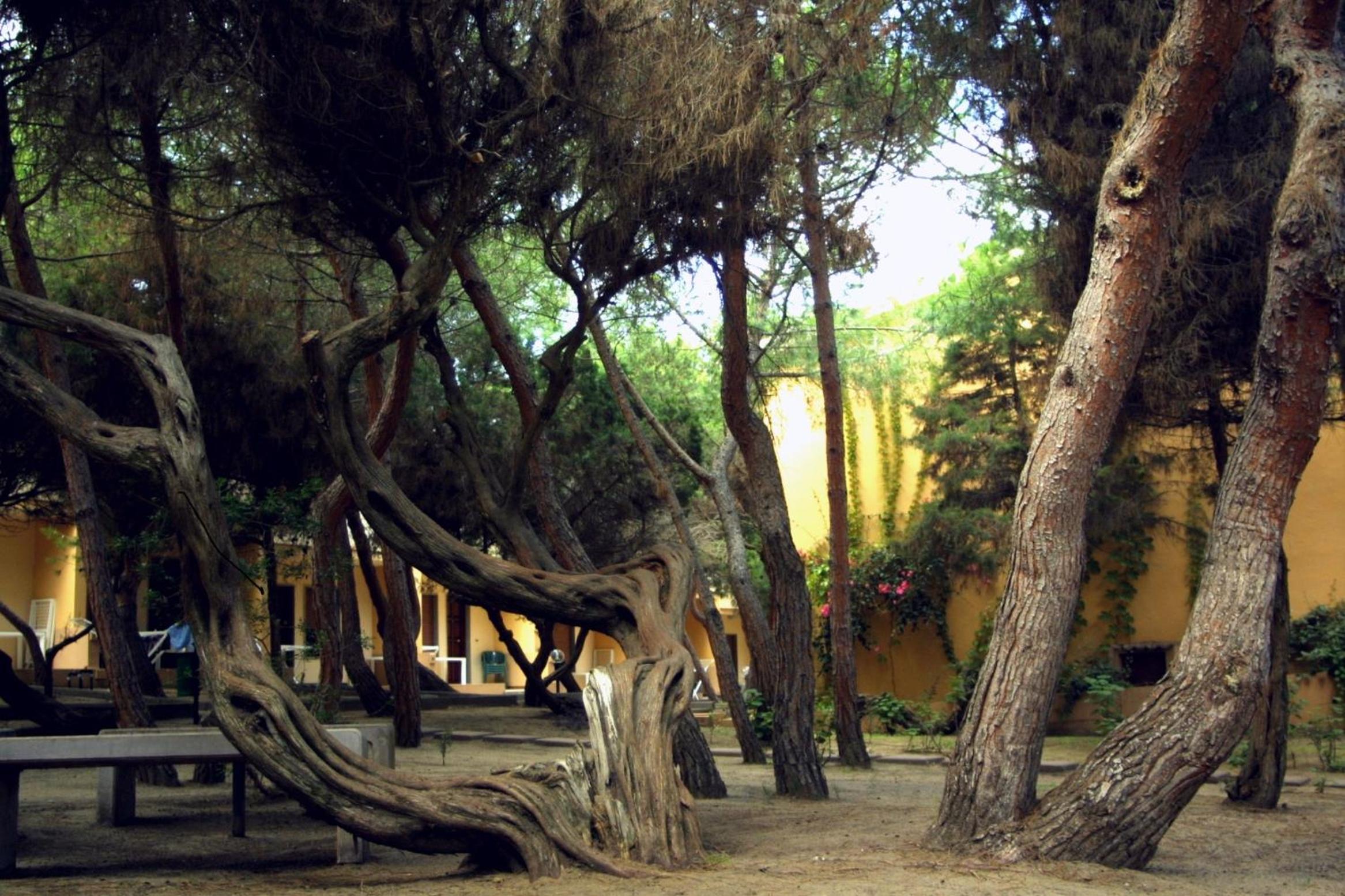 Photo 40