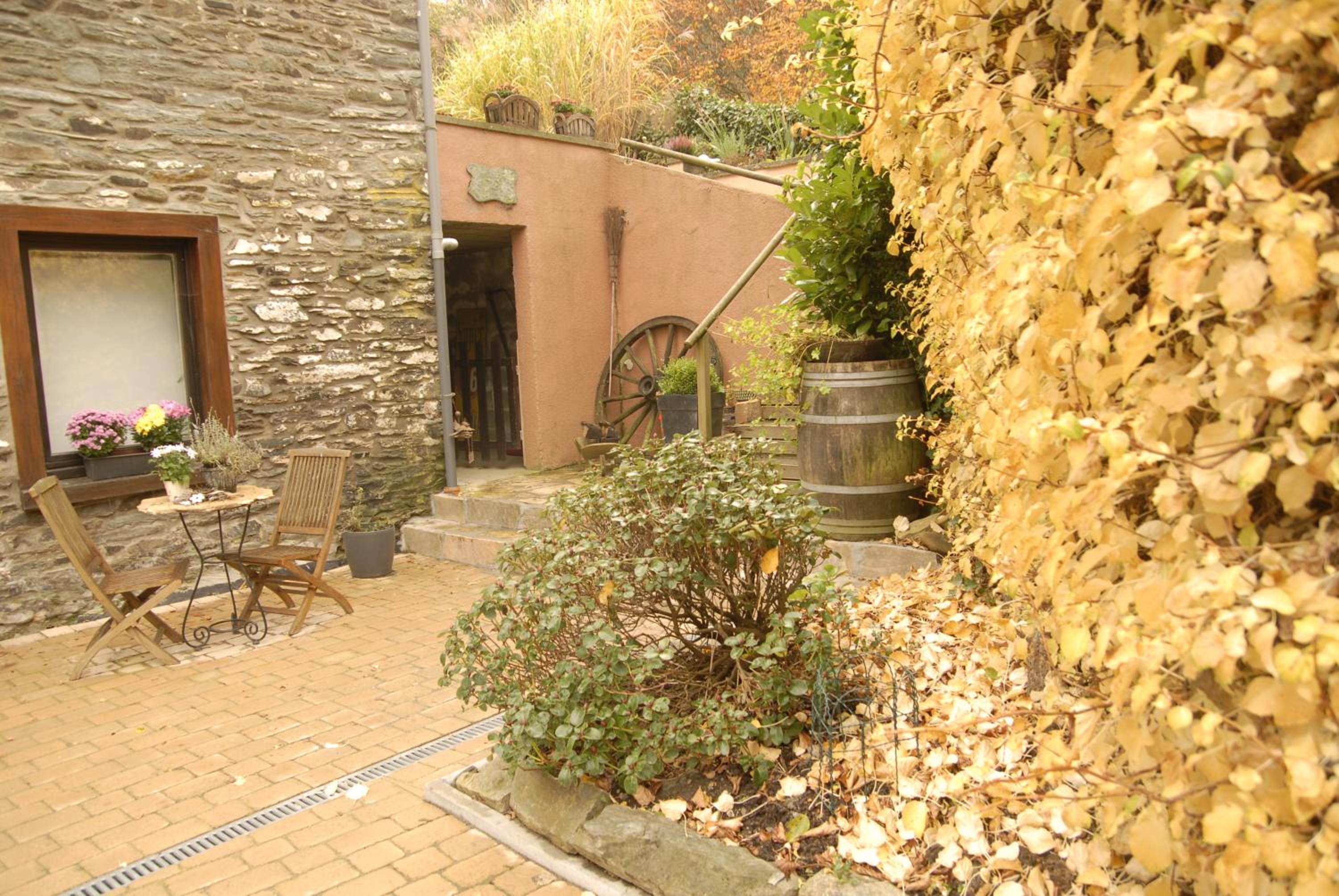 Le Clos Arboré (Gîte)