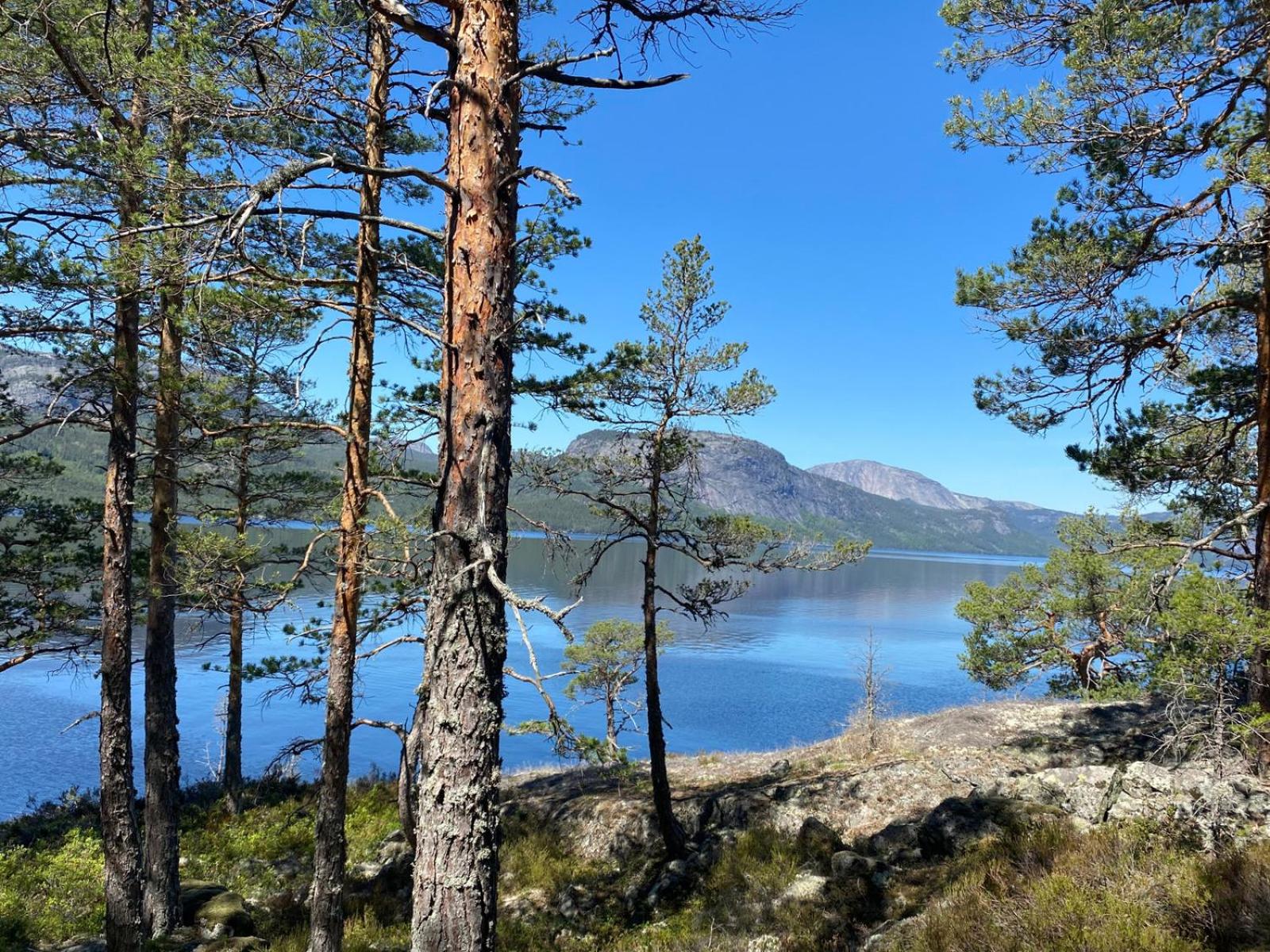 Nissedal- en liten perle ved Nisser view 2