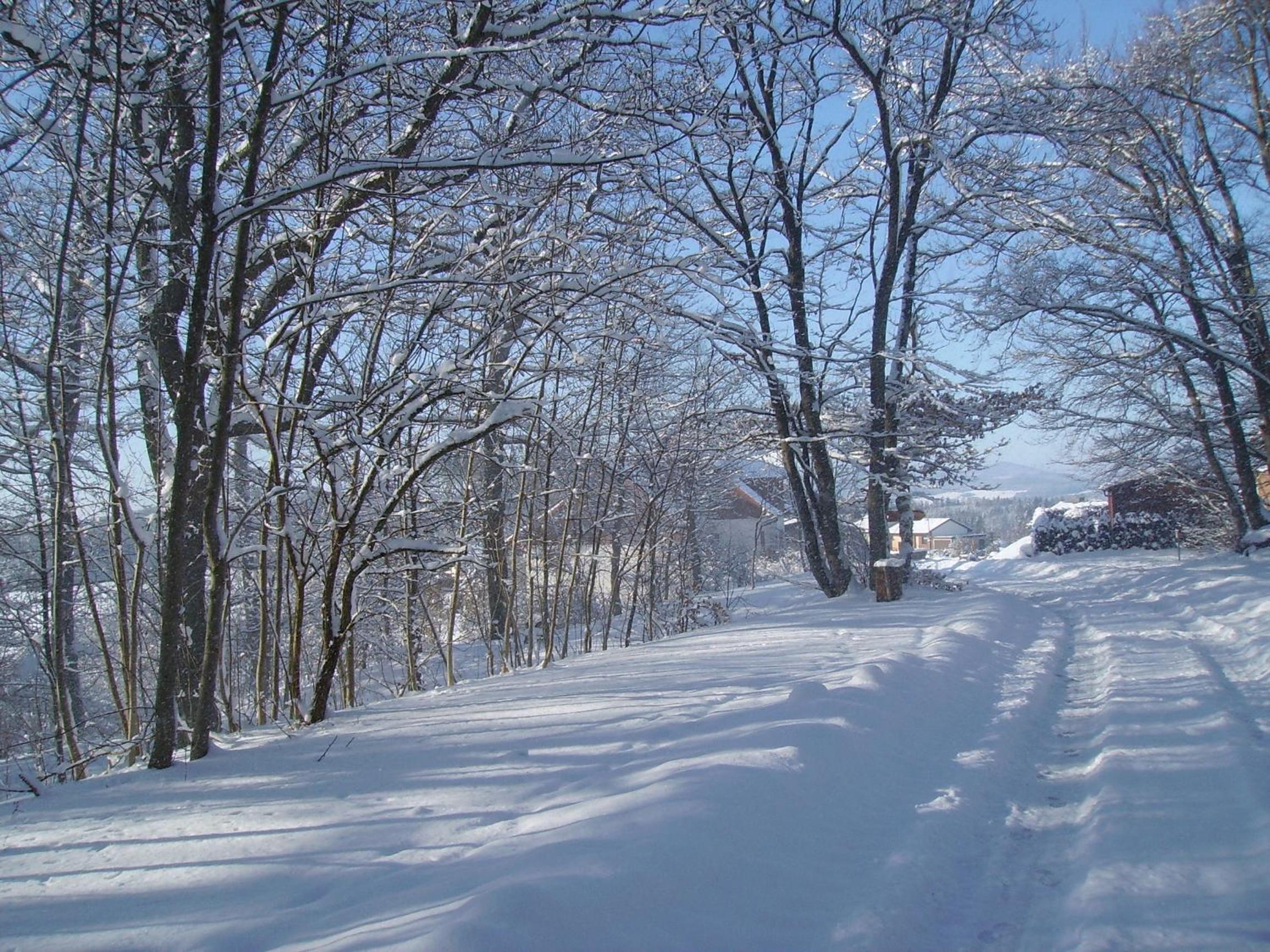 Ferienwohnung Sauerlandblick