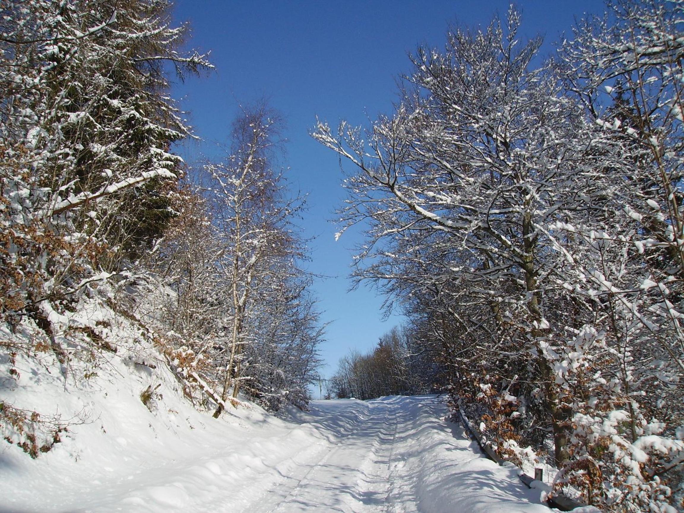 Ferienwohnung Sauerlandblick