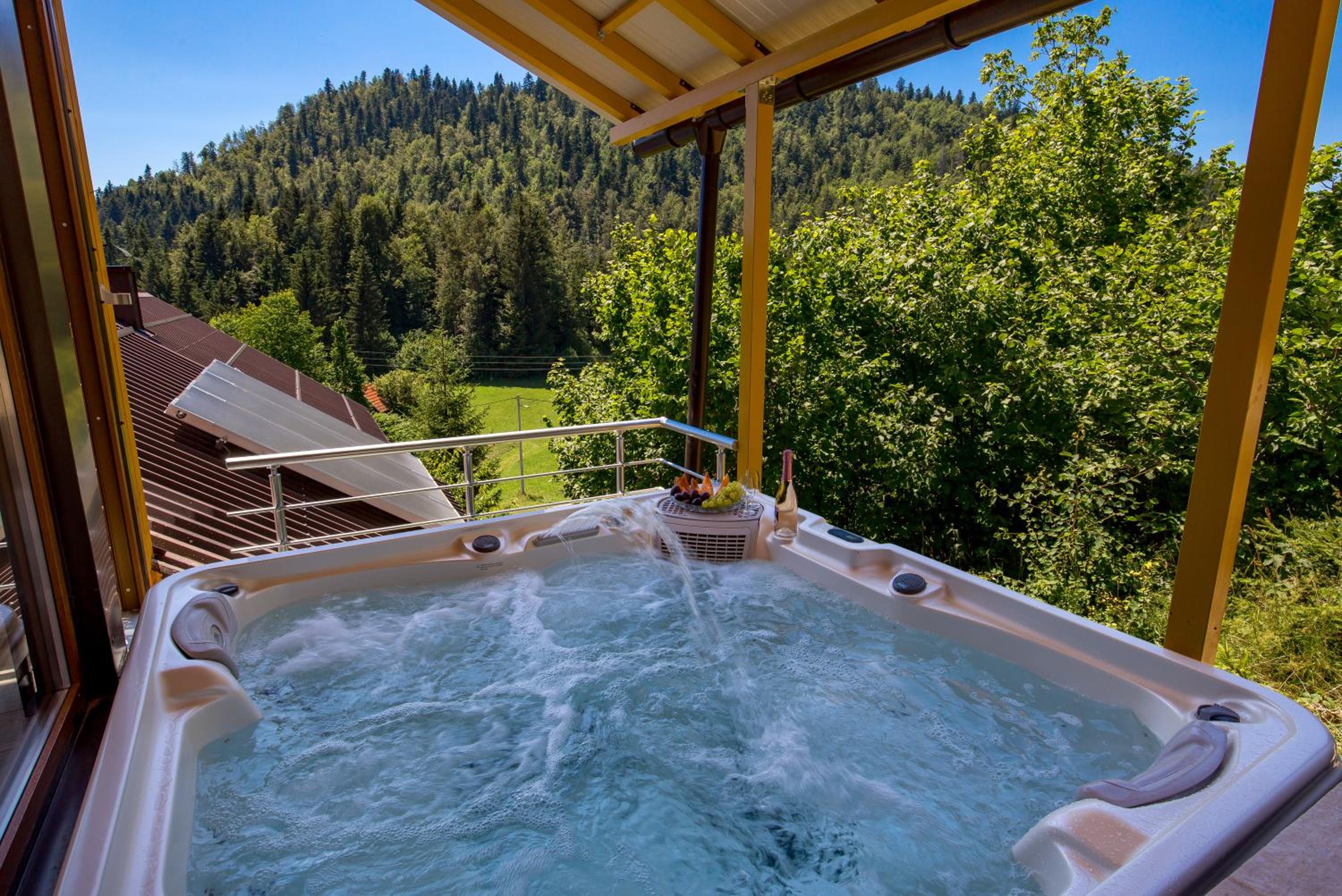 Greenhouse Klara with heated pool view 3