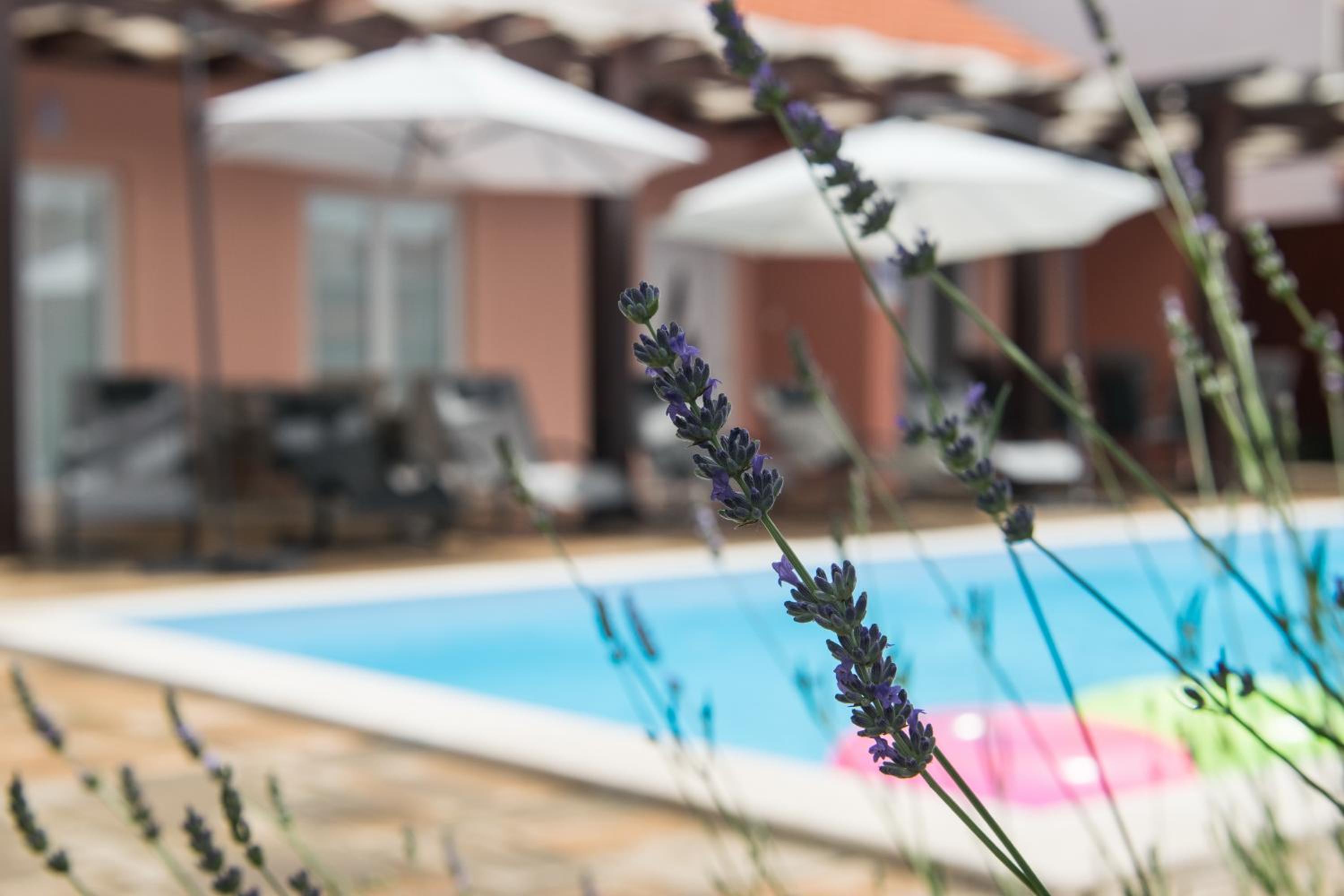 Villa Magdalena, Biograd na Moru view 5