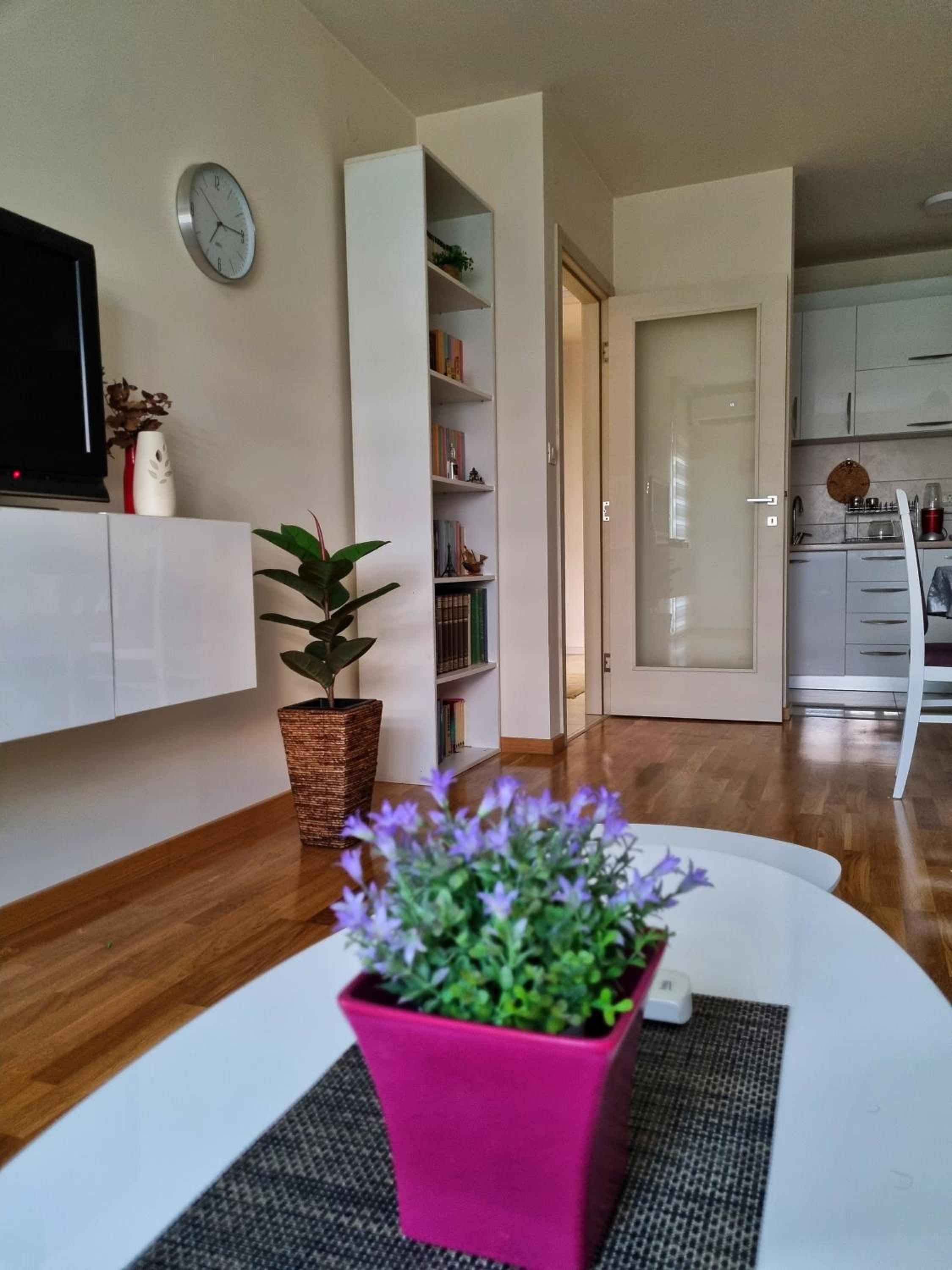 Riverside Apartment view 4