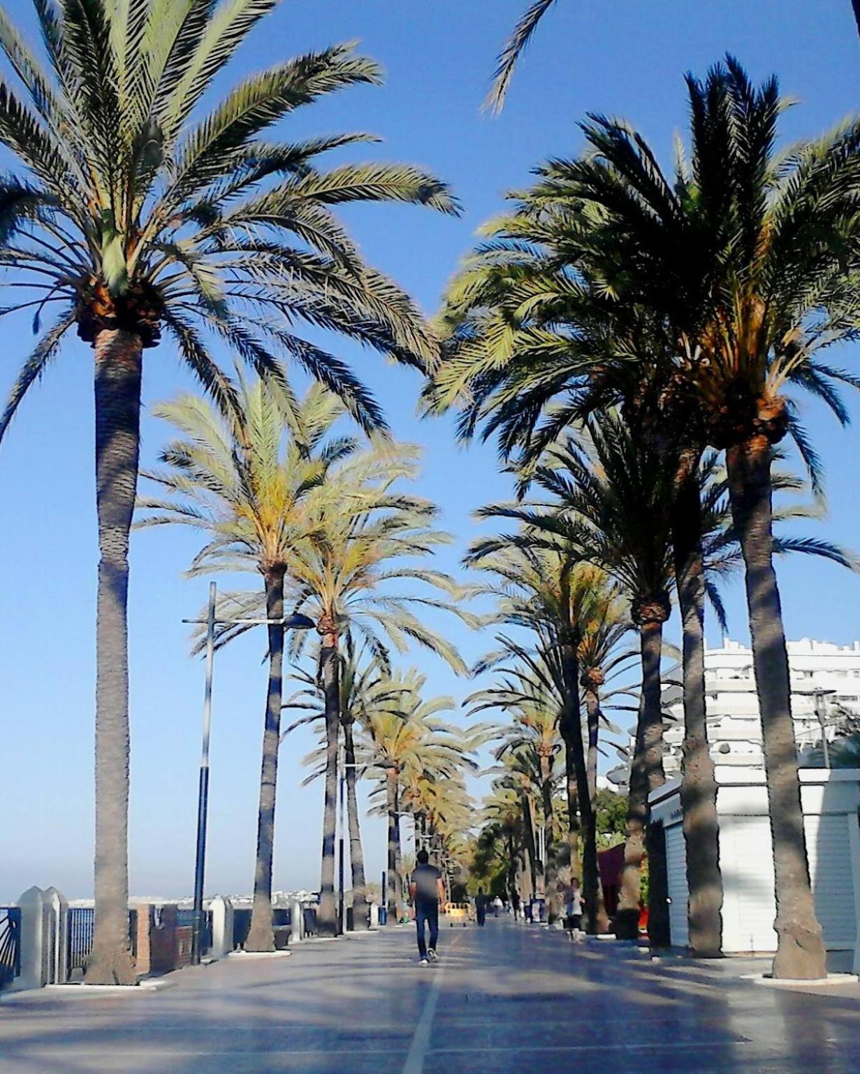 SEA VIEW Holiday Home in Marbella Resort