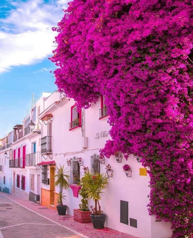 SEA VIEW Holiday Home in Marbella Resort